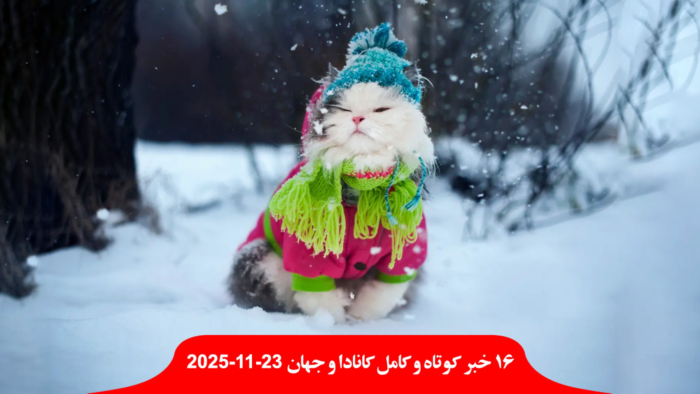 زمستان-کانادا-سرما-برف-آمد-رویترز-آمریکا-عملیات-نظامی-مخفیانه-مادورو-ونزوئلا-سرنگون-کشمکش-آمریکا-اوکراین-اروپا-صلح-روسیه زمستان-کانادا-سرما-برف-آمد-رویترز-آمریکا-عملیات-نظامی-مخفیانه-مادورو-ونزوئلا-سرنگون-کشمکش-آمریکا-اوکراین-اروپا-صلح-روسیه