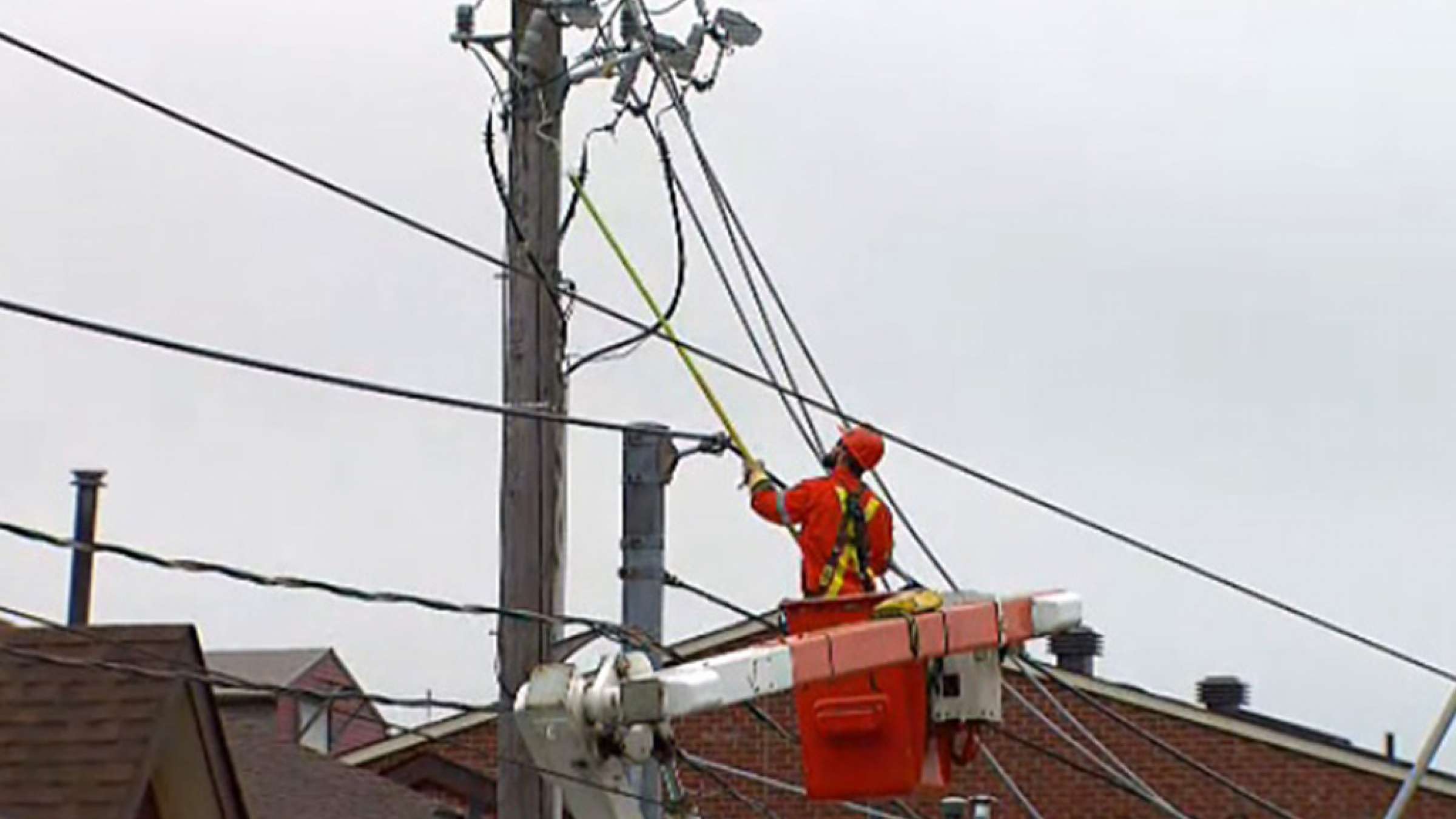 سنجابی-که-برق-یک-منطقه-را-قطع-کرد-تورنتو-اخبار سنجابی-که-برق-یک-منطقه-را-قطع-کرد-تورنتو-اخبار