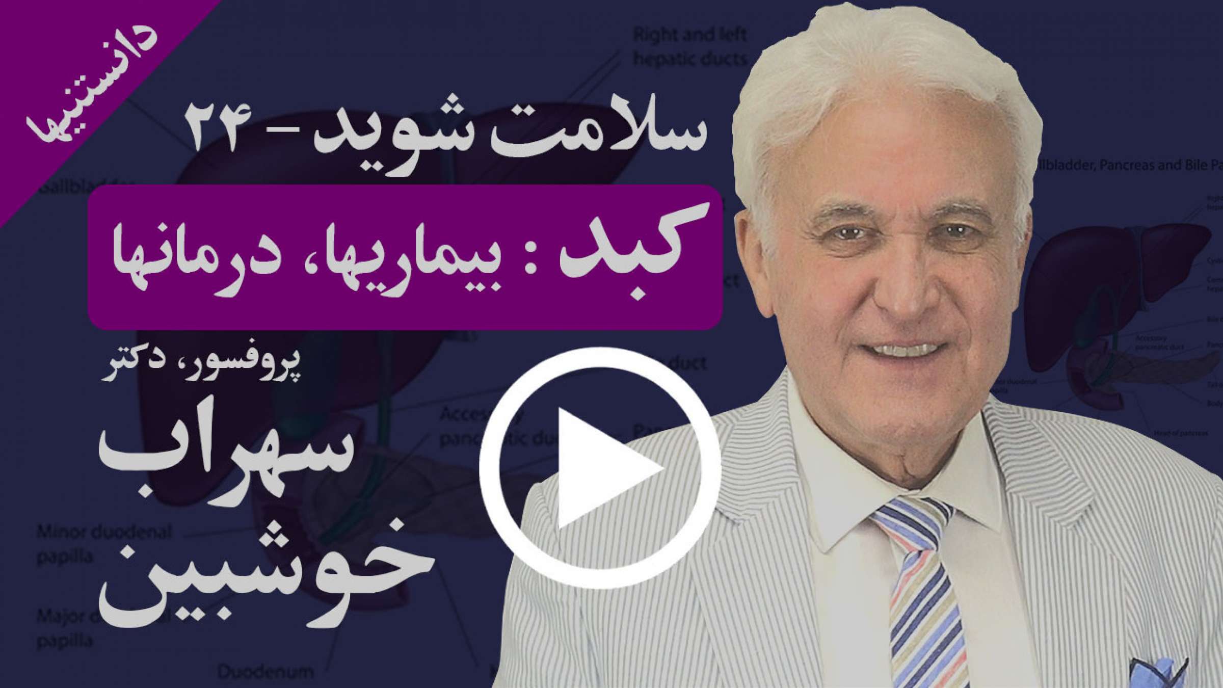 کبد در بدن چه میکند، چگونه بیمار میشود و درمان آنها چیست؟ کبد در بدن چه میکند، چگونه بیمار میشود و درمان آنها چیست؟
