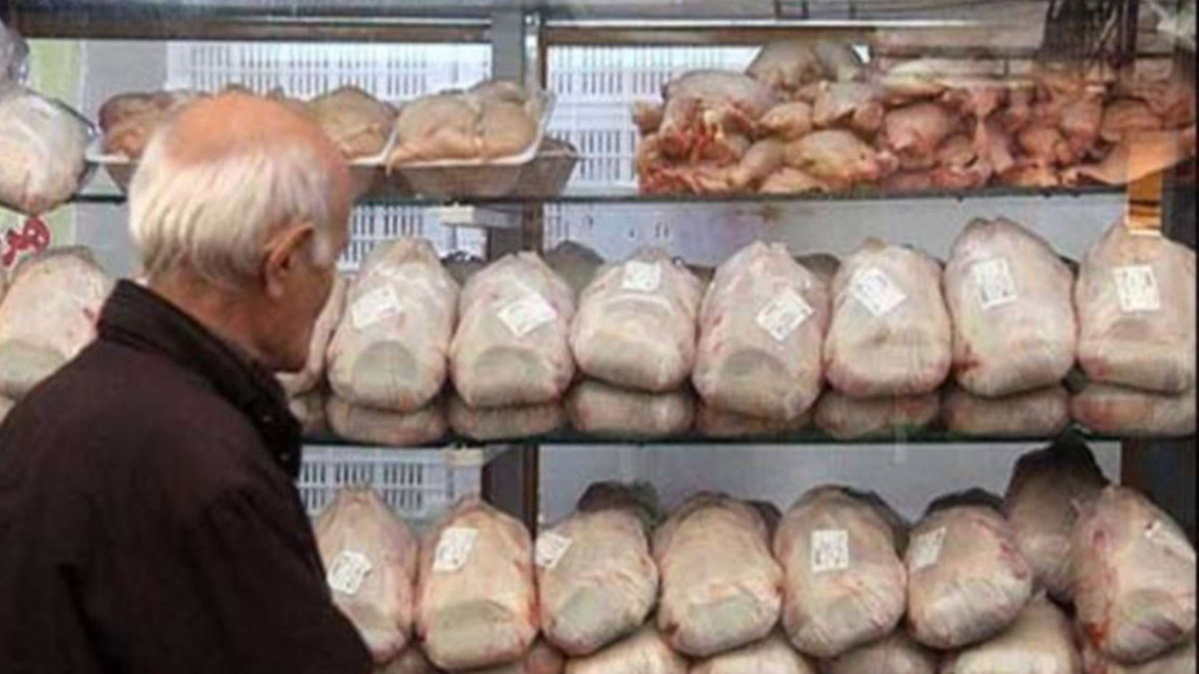 economy-melal-coupon-electronic economy-melal-coupon-electronic