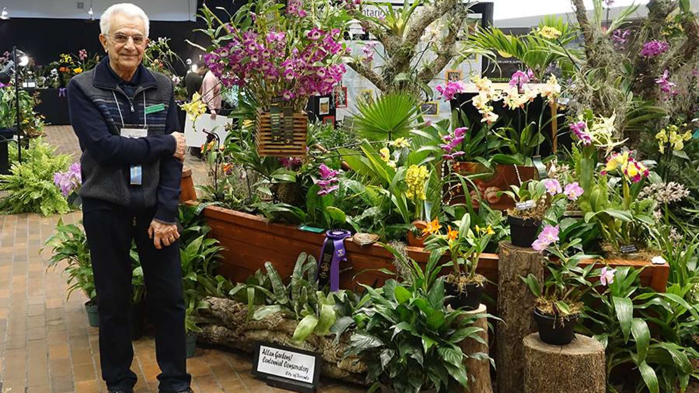 family-withyou-hamidi-orchid