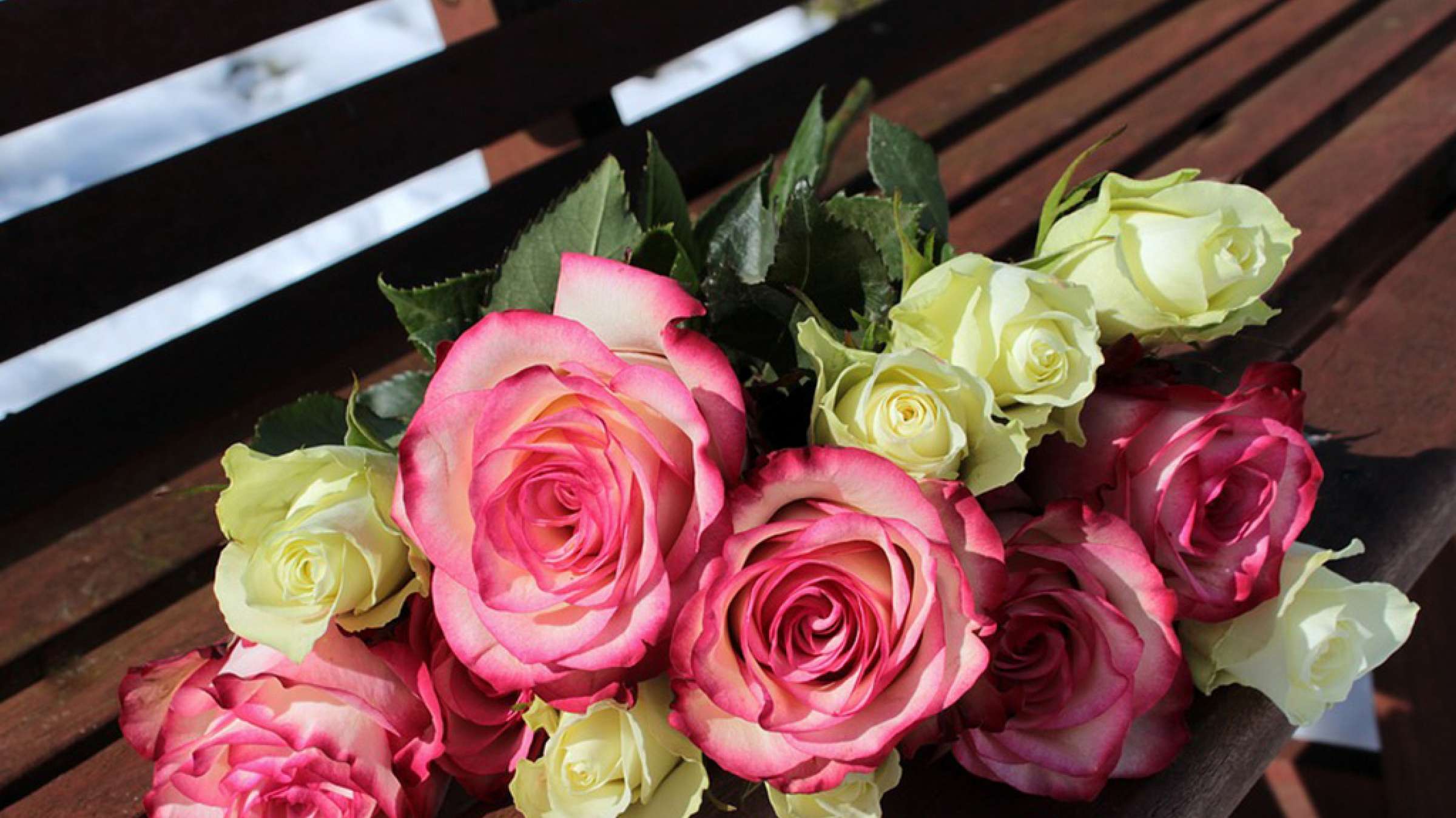 golmohammadi-culture-roz-madar