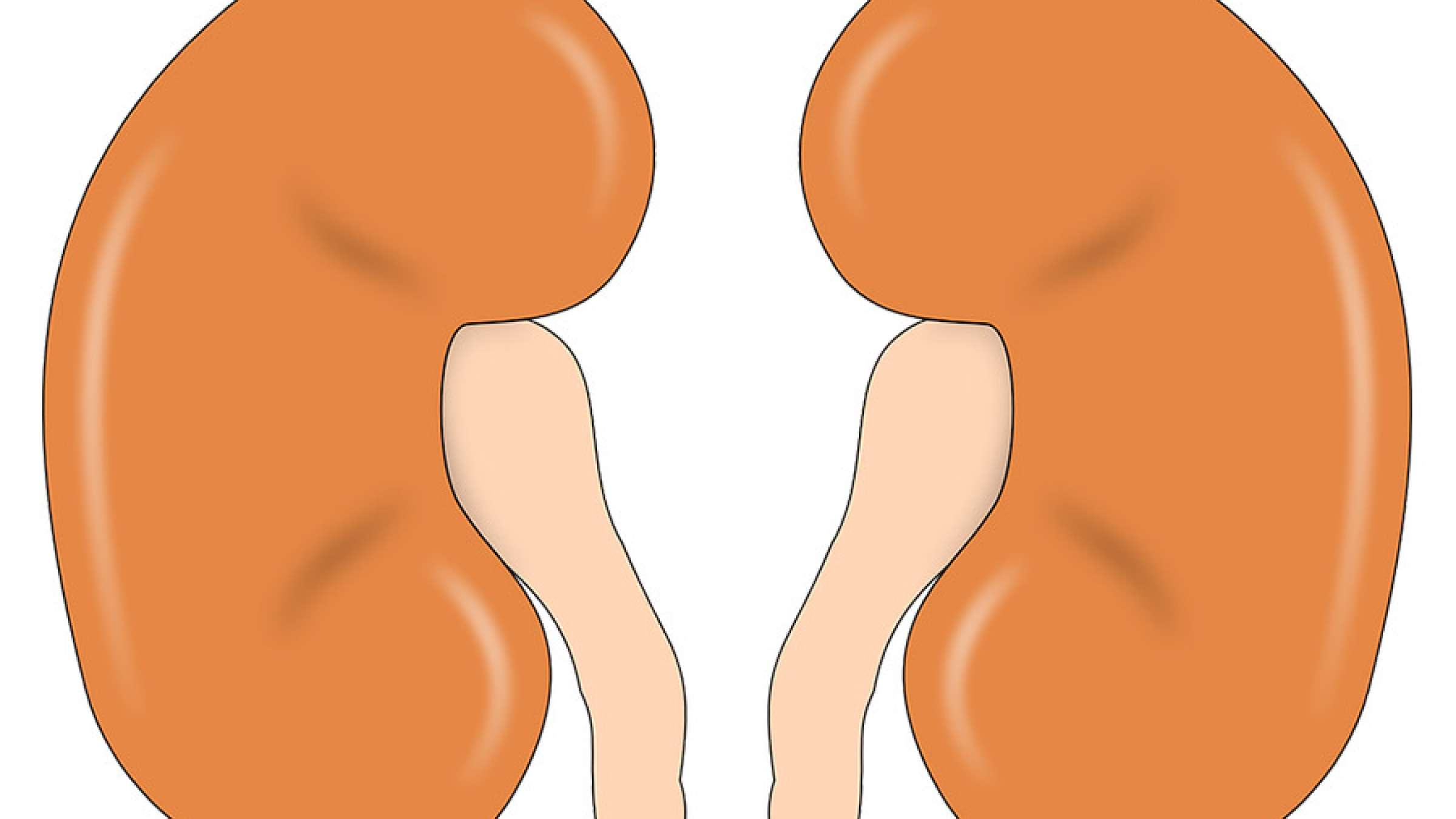 health-kolieh health-kolieh