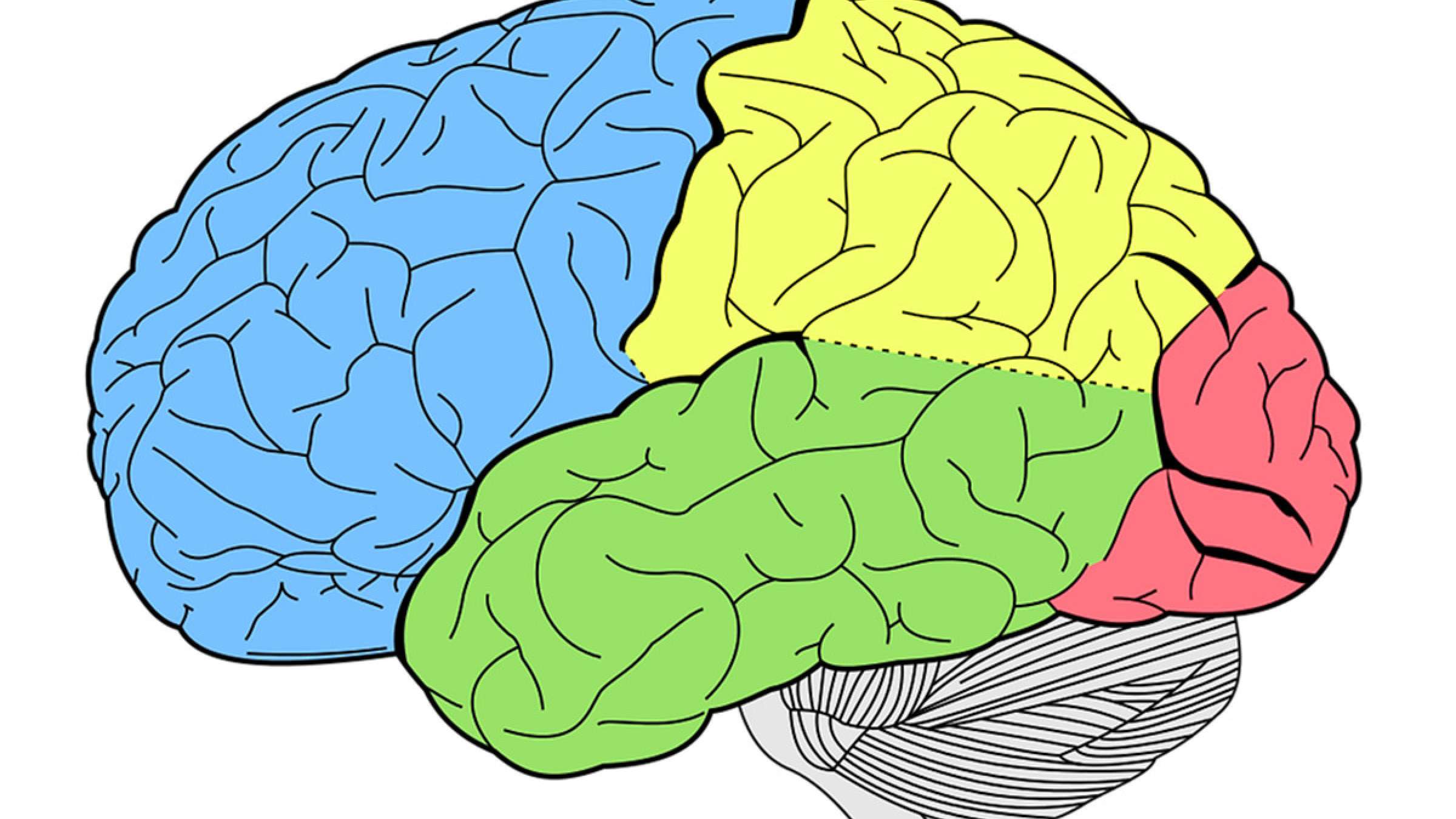 health-medical-music-maghz