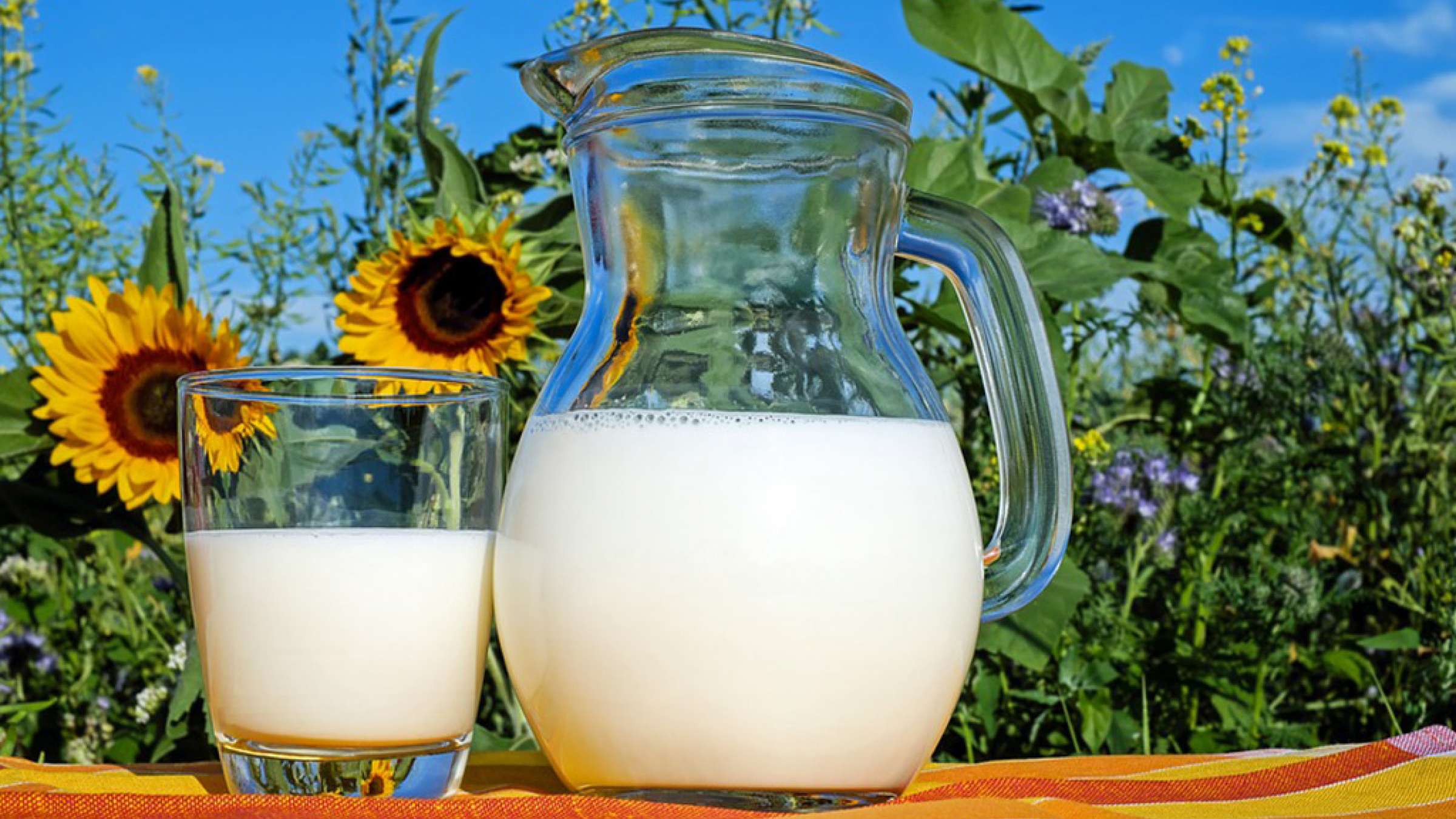 health-milk-organic