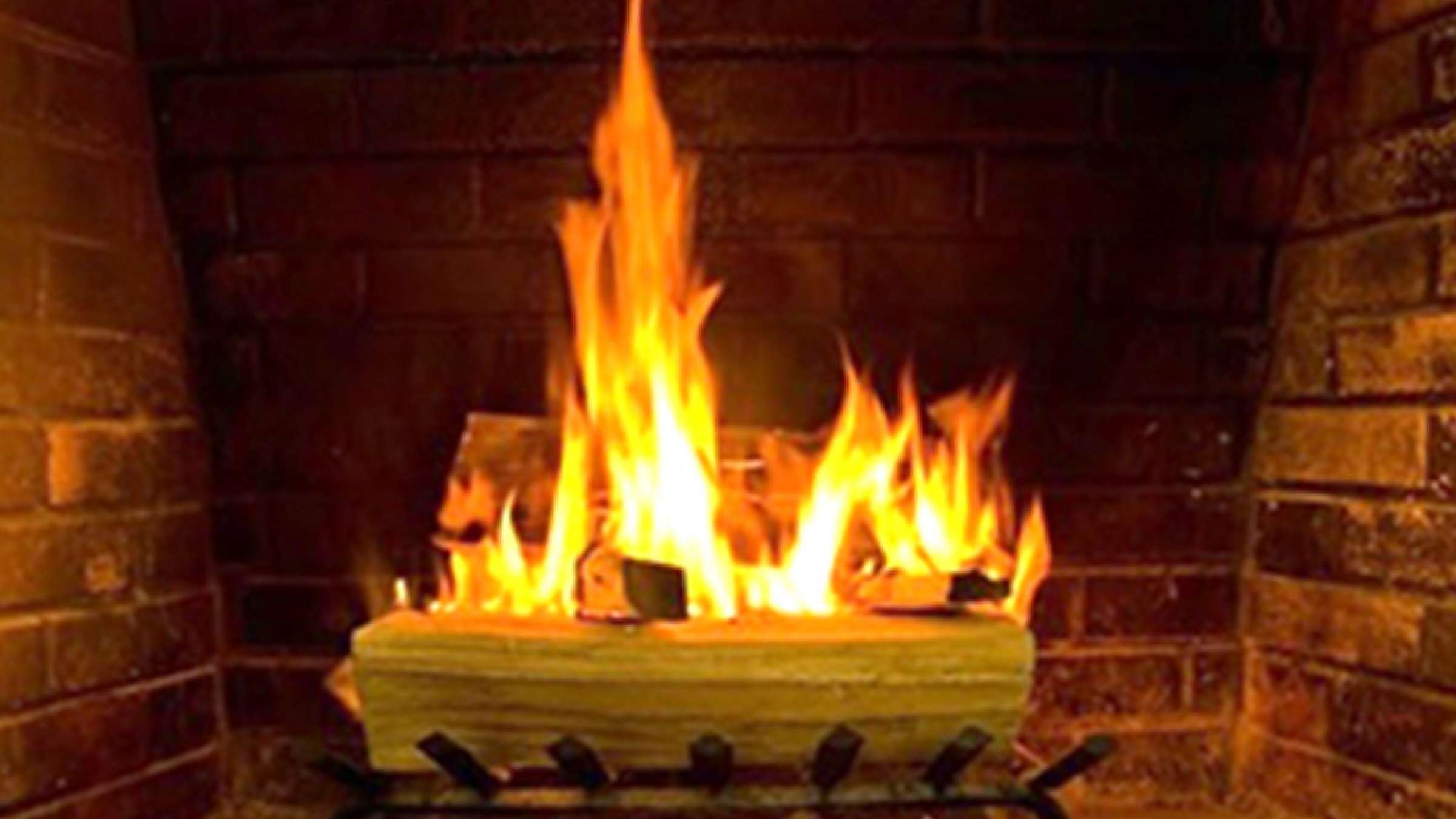 health-sozandan-choob health-sozandan-choob