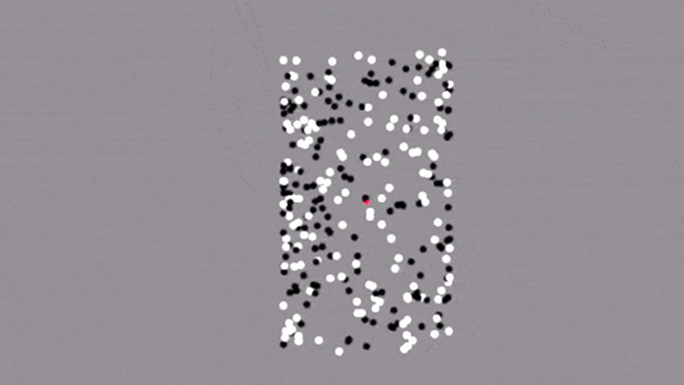 health-yashkhis-otism health-yashkhis-otism