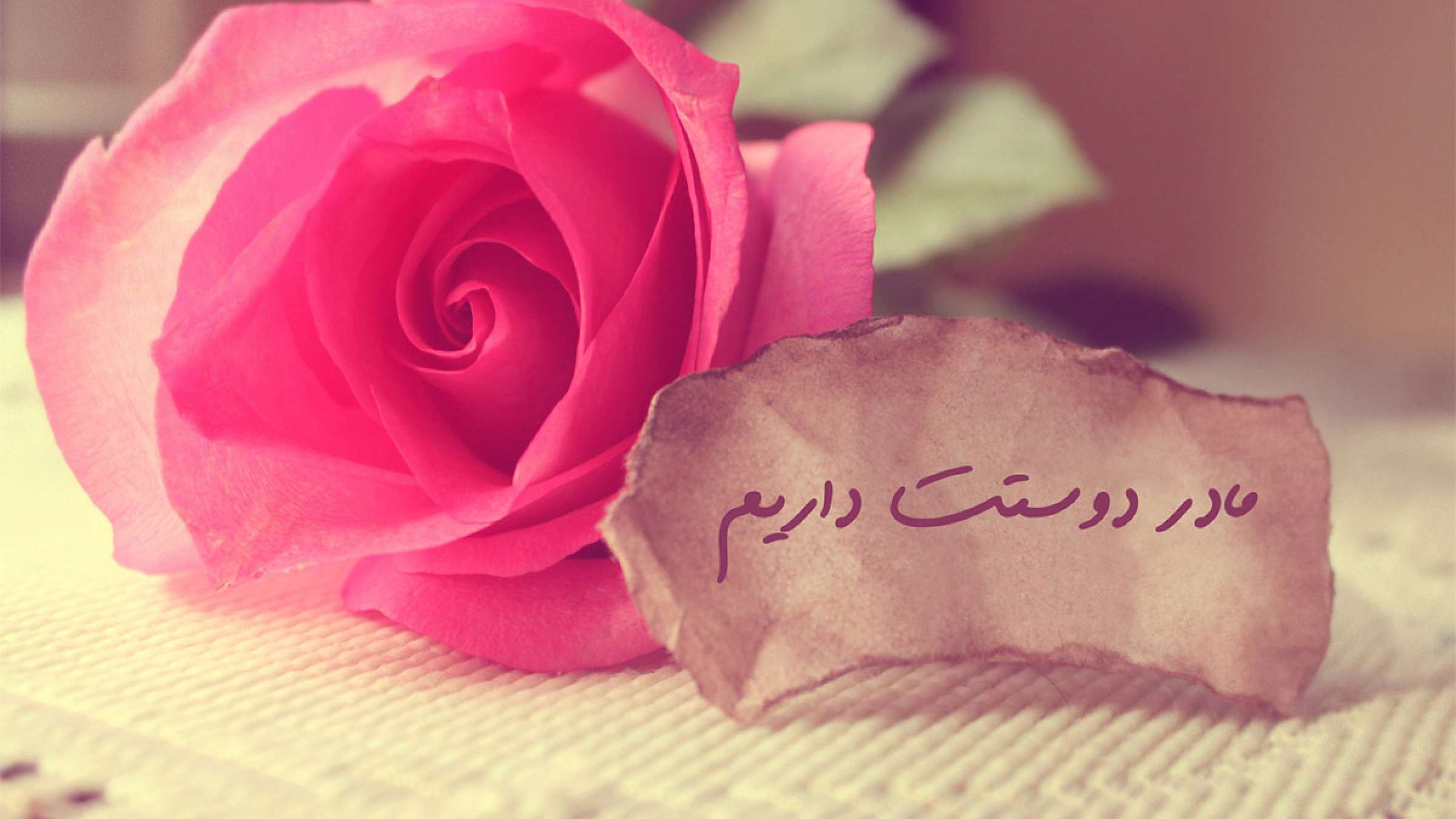 interview-9-madar interview-9-madar