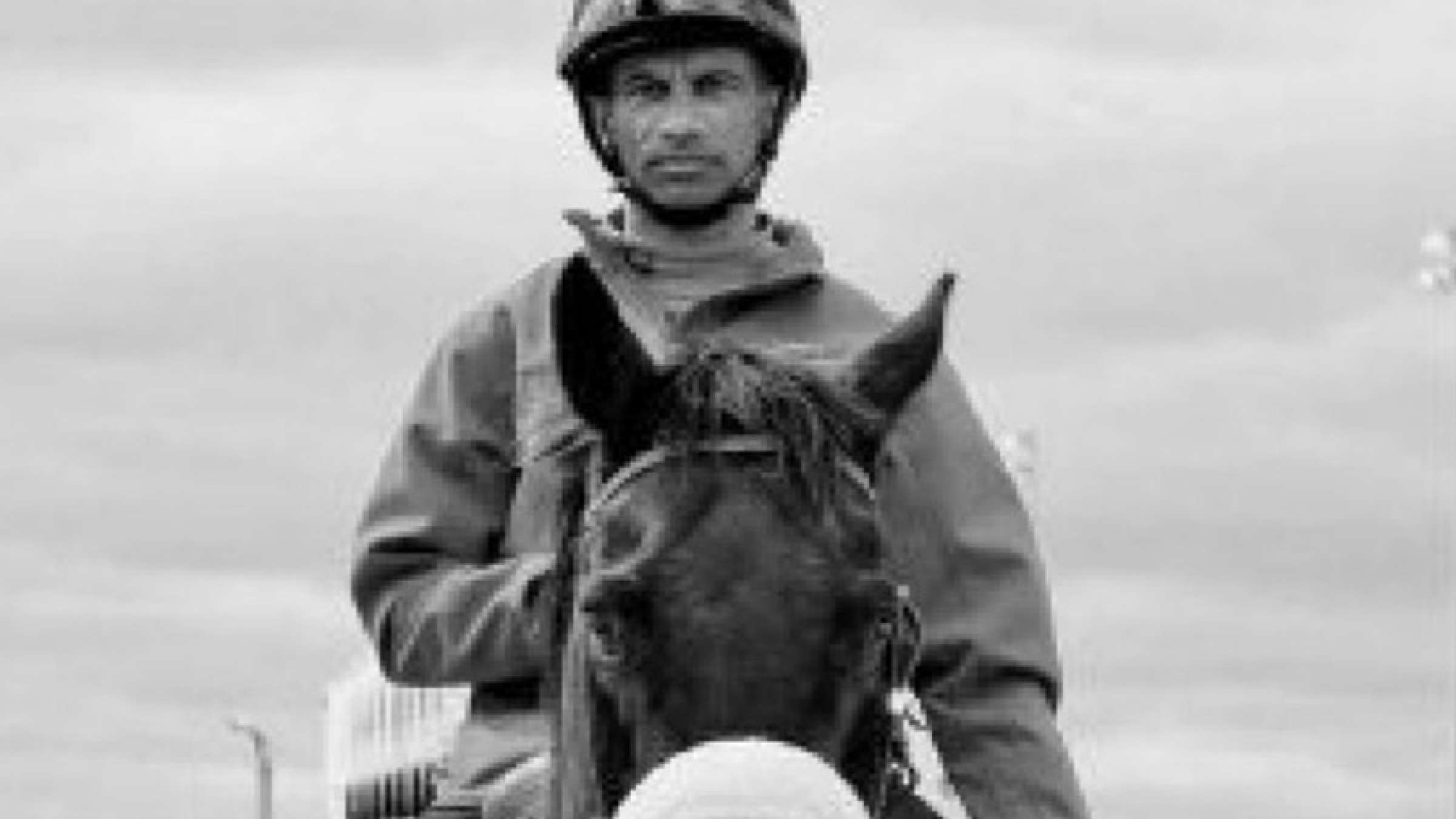 koshte-shodane-asb-savar koshte-shodane-asb-savar