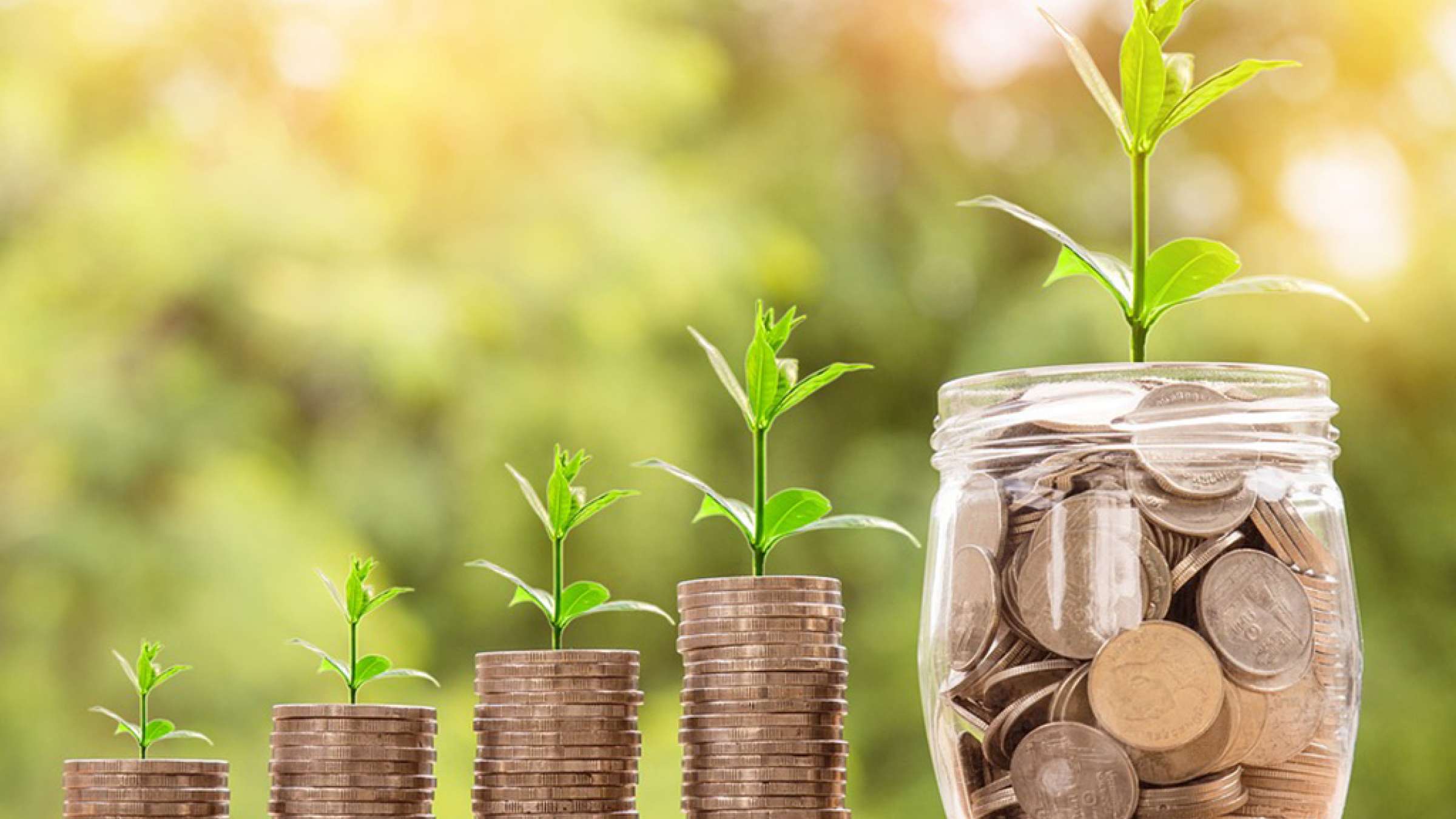 maskan-neeli-soghoot-bazar