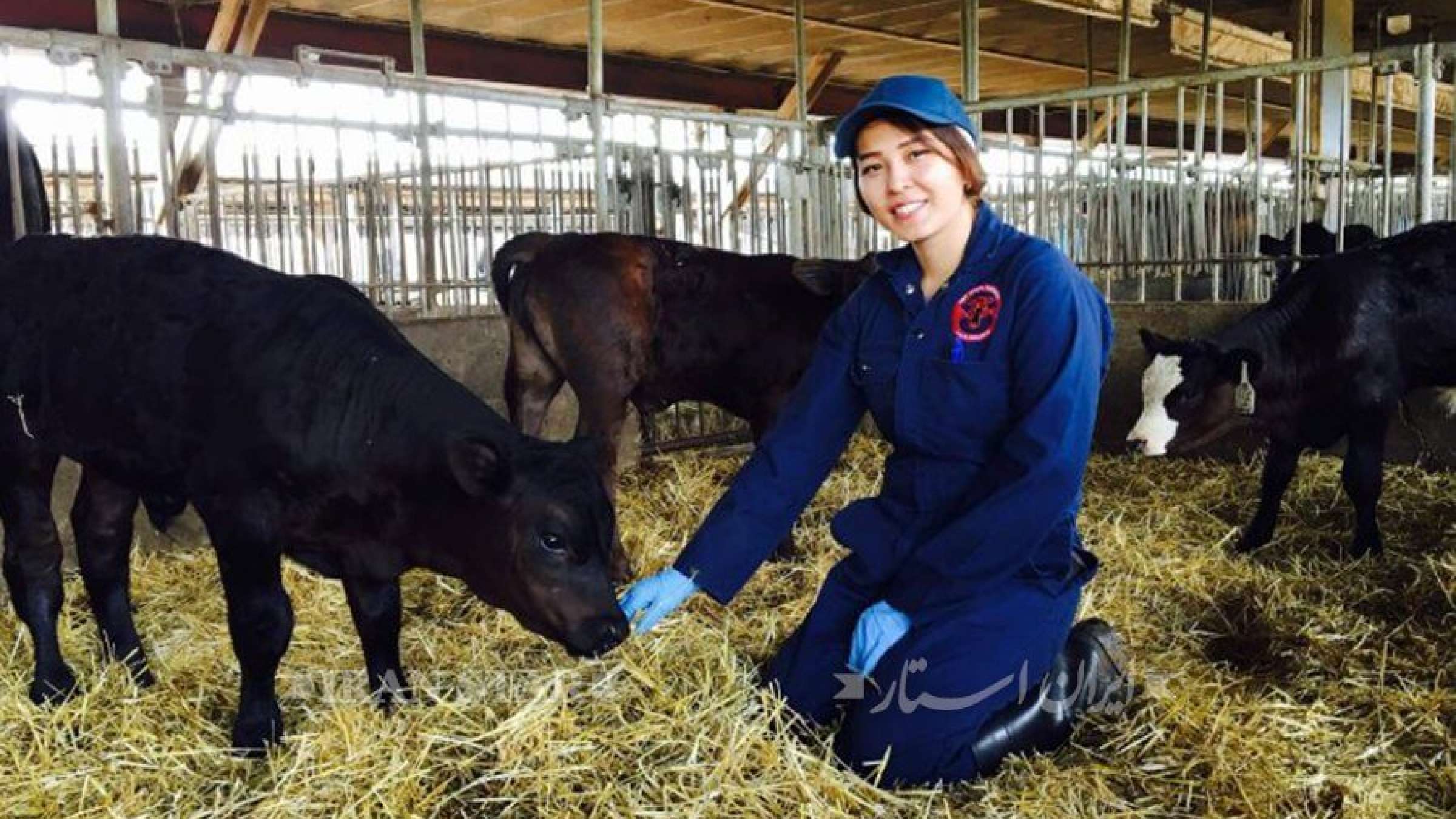 nasrin hosseini nasrin hosseini