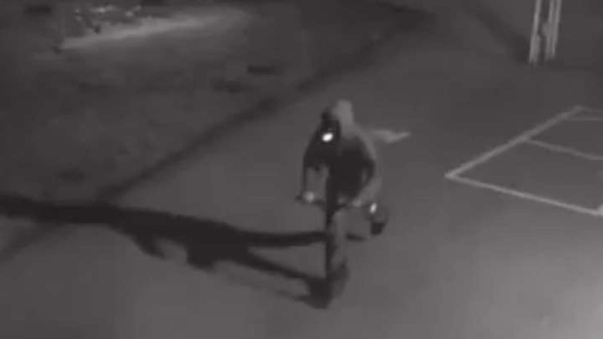 news-atash-guelf-university