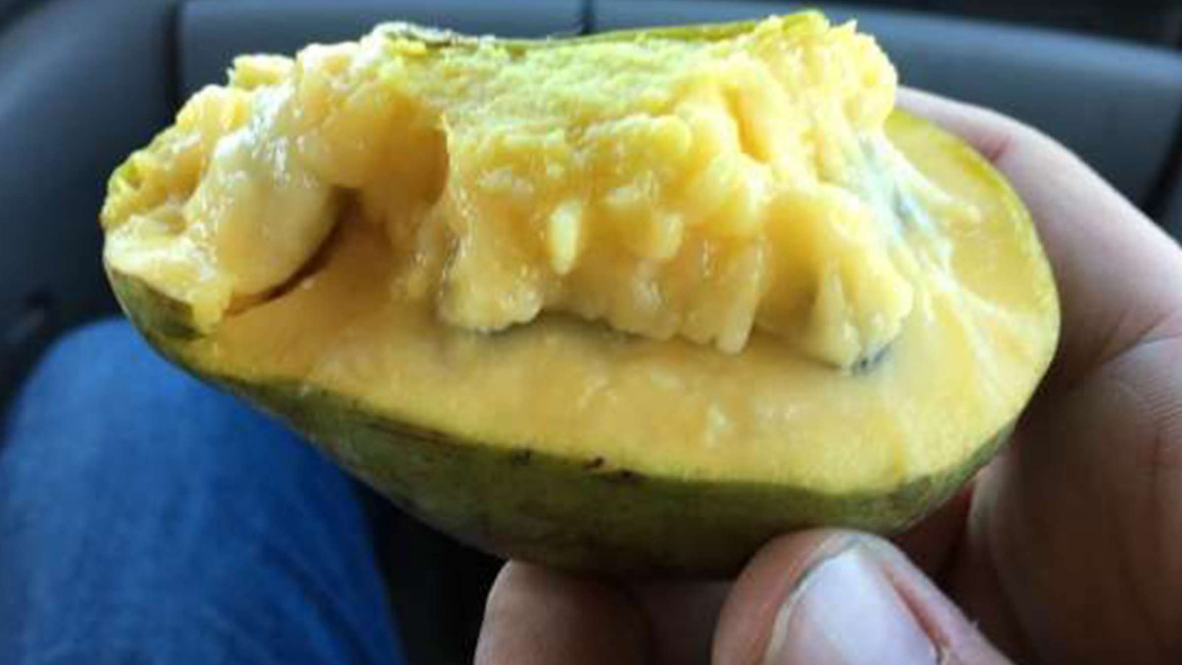 news-miveh-ontario-1