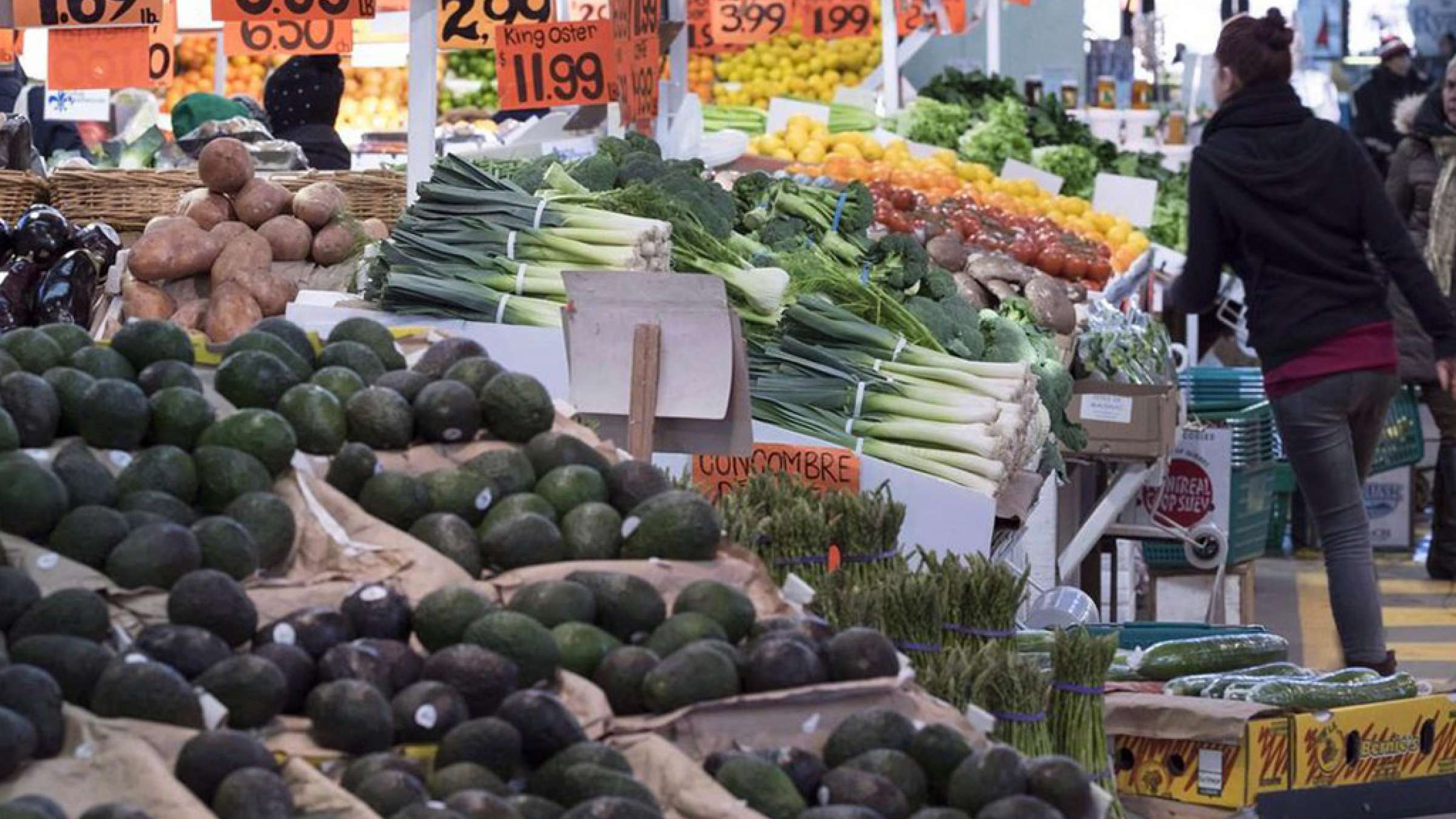 news-tavarom-gerani-canada news-tavarom-gerani-canada