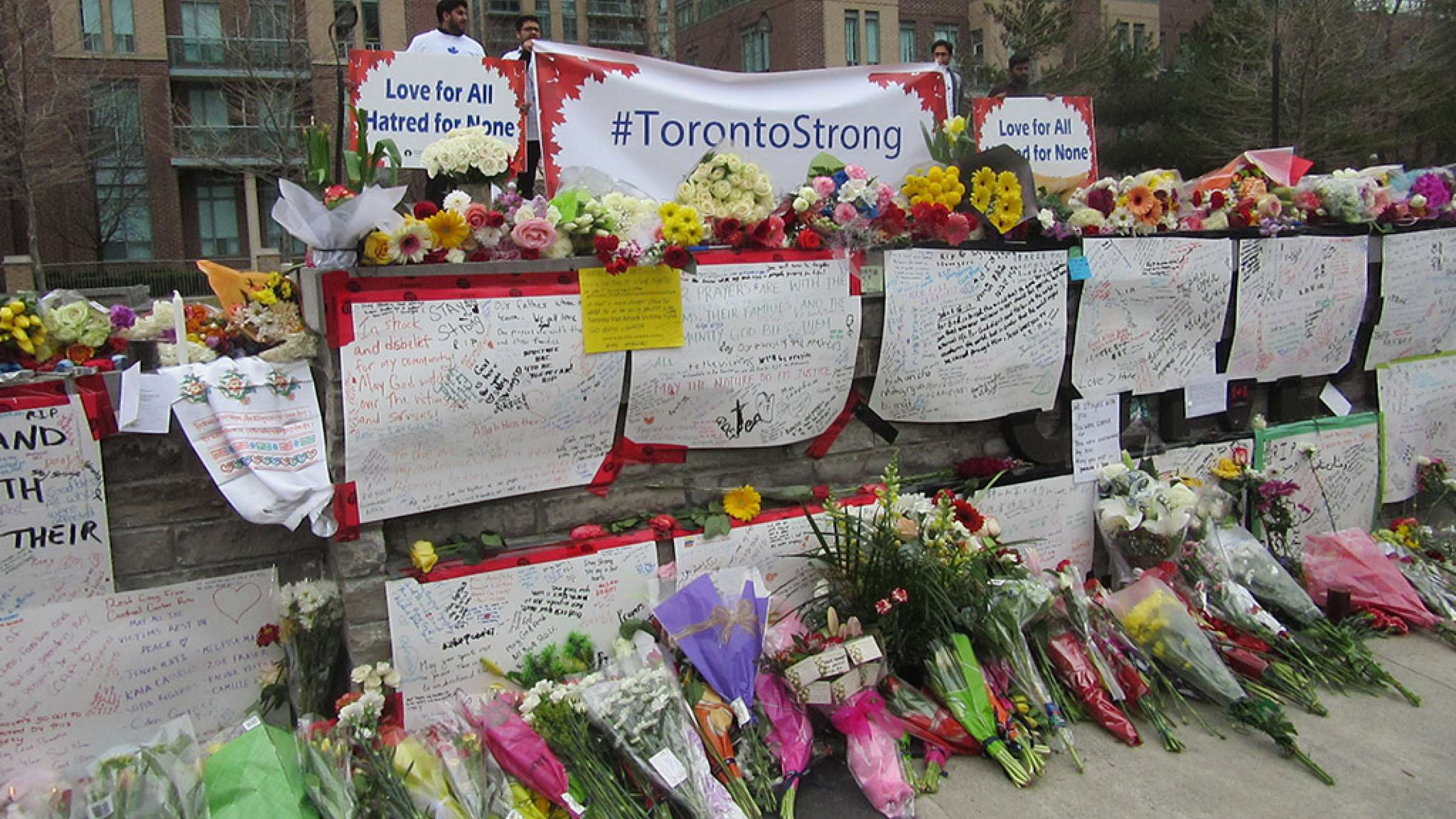 news-van-hassan-golmohammadi