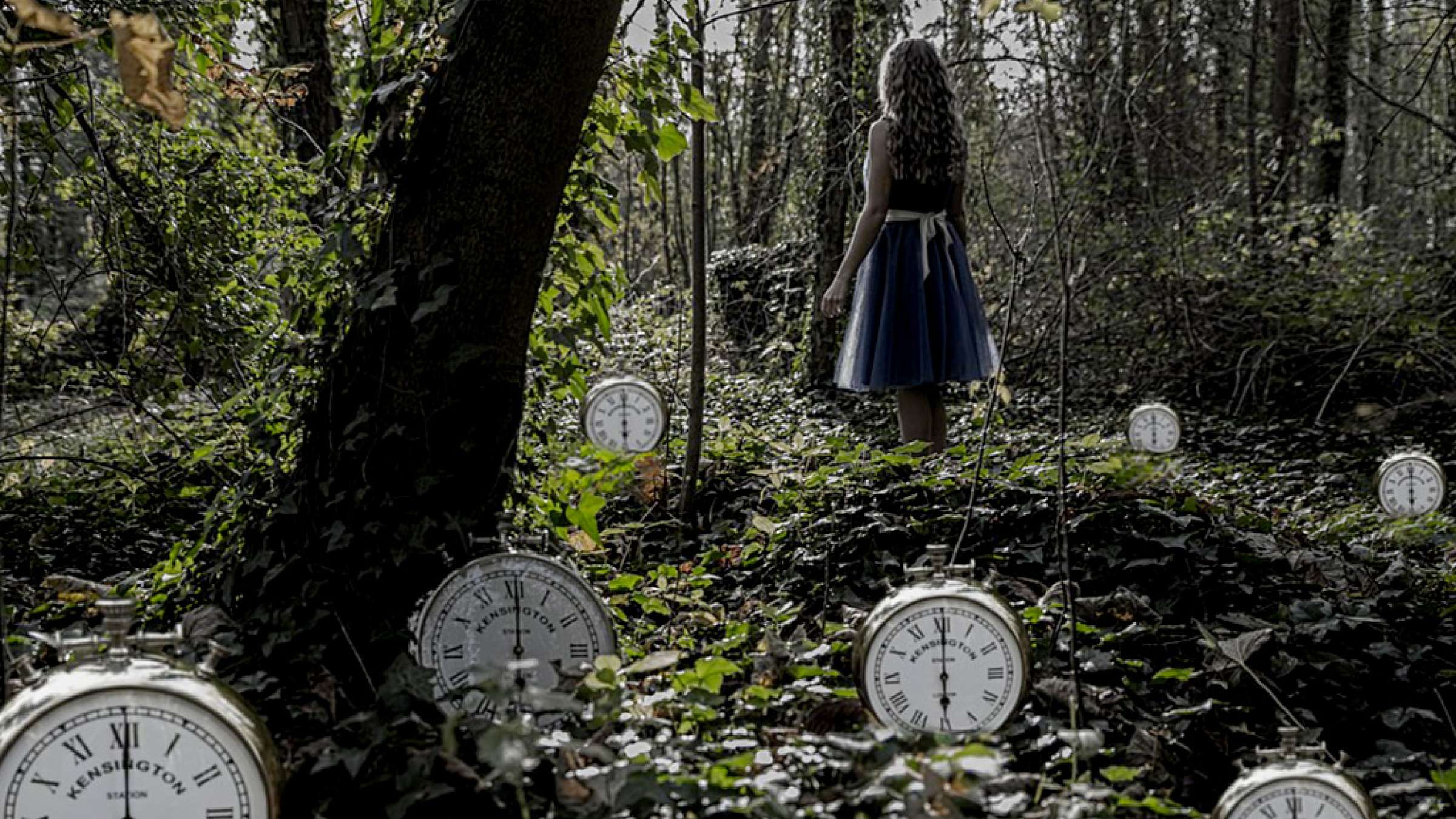 social-nikkhah-atrafian-salamati