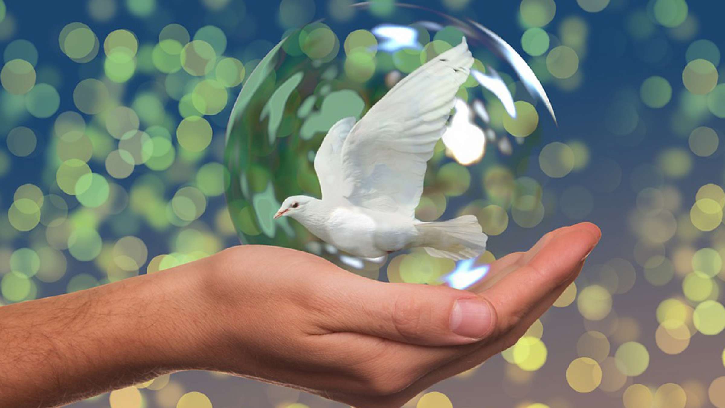 storey-mehdi-tavakoli-safir-solh storey-mehdi-tavakoli-safir-solh