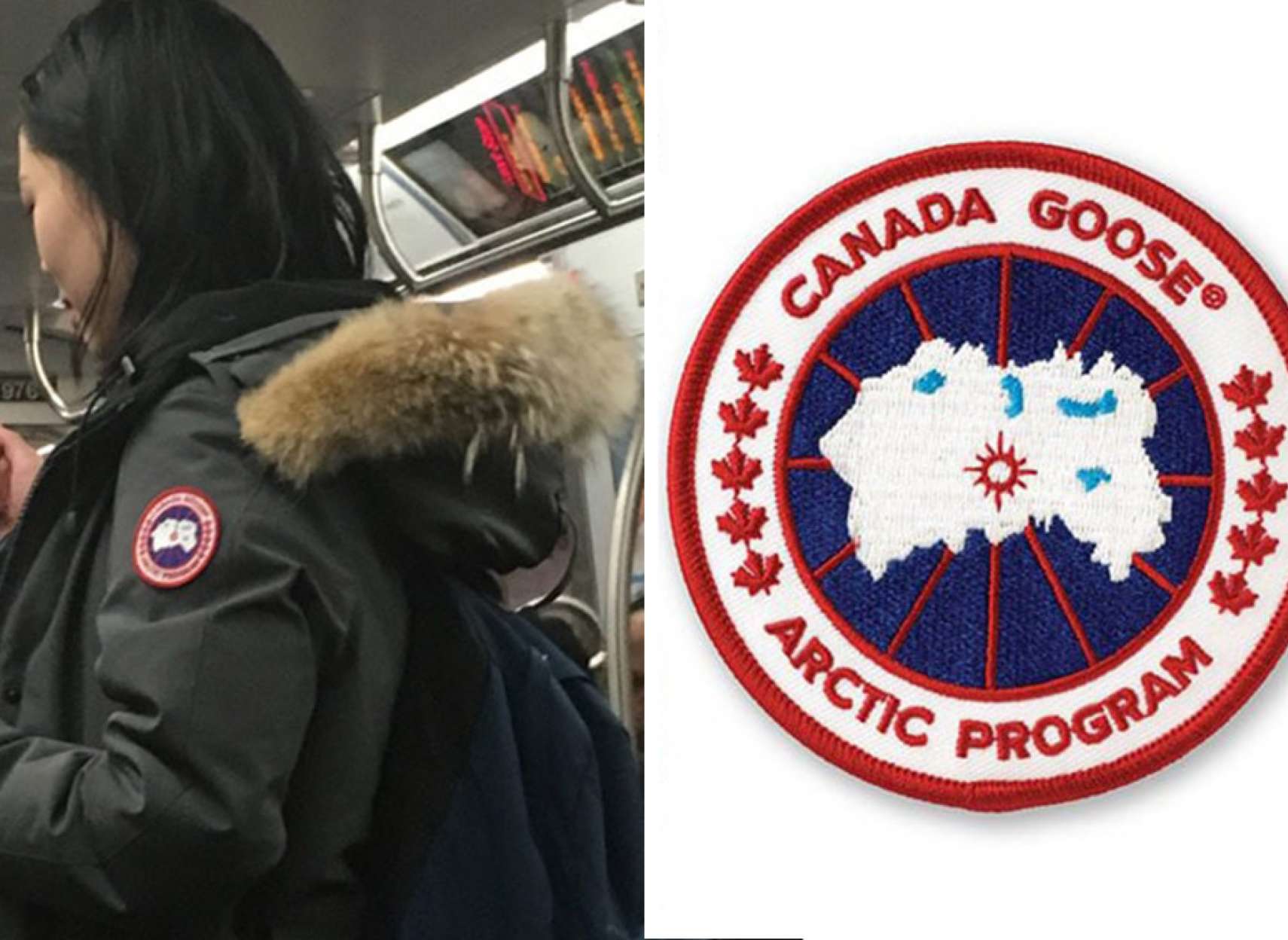 اخبار-کانادا-دزدی-مسلحانه-کاپشن-های-زمستانی-کانادایی-در-شیکاگو