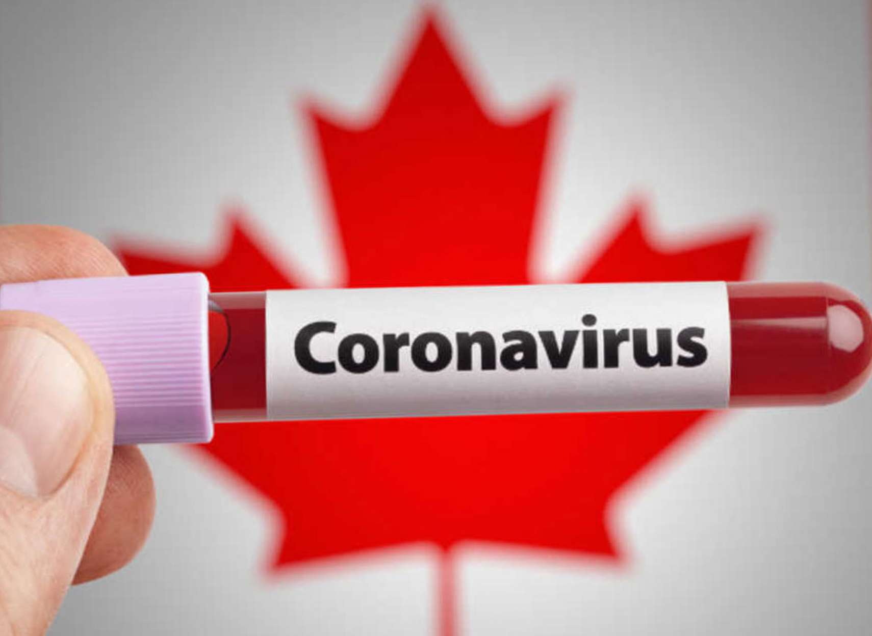 اخبار-کانادا-کرونا-کبک-مدارس-را-می-بندد-انتاریو-در-راه-تعطیلی-رکوردشکنی-آلبرتا-مانیتوبا-بریتیش-کلمبیا