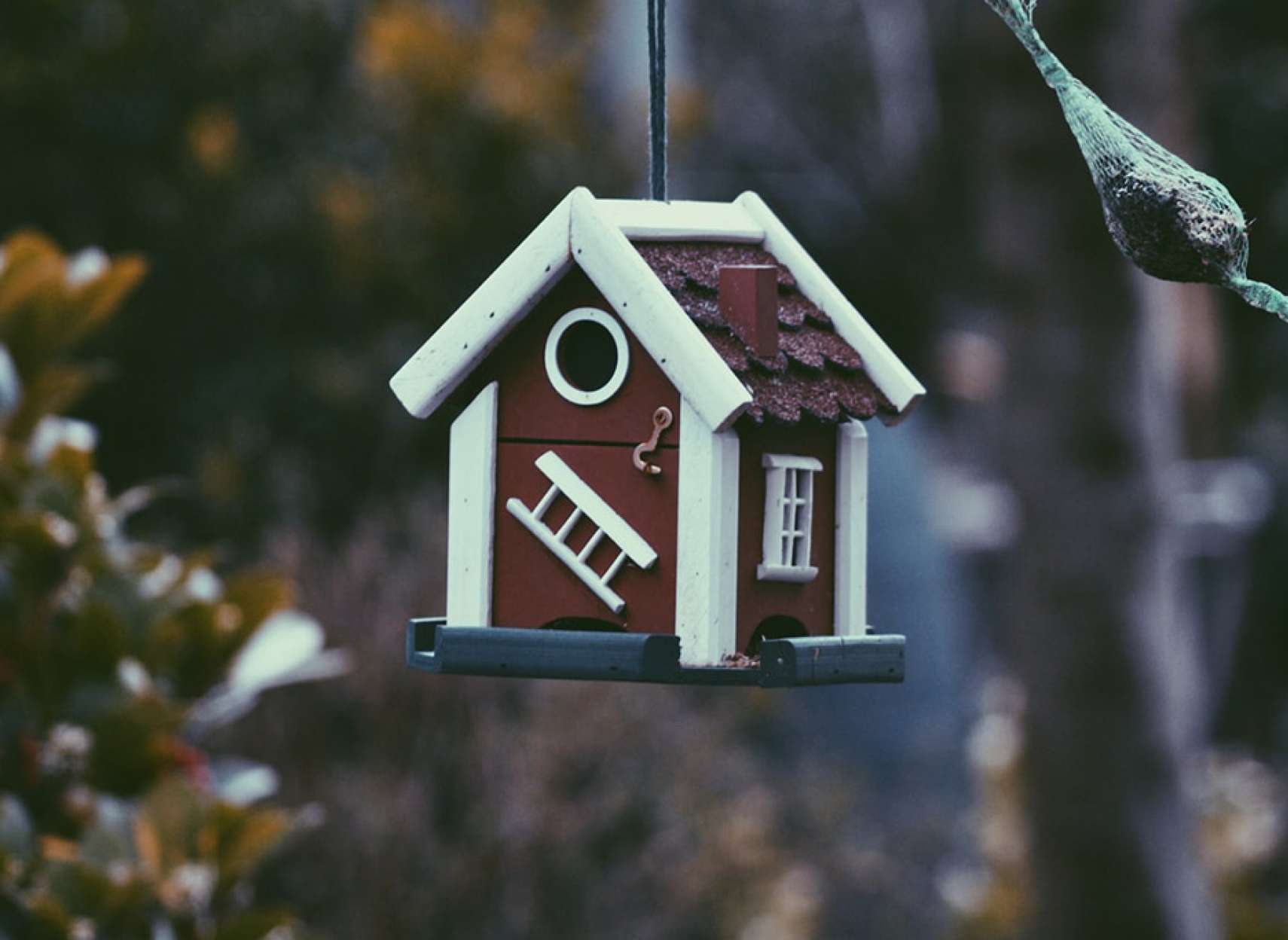 املاک-انواری-خانه-کدام-خانه