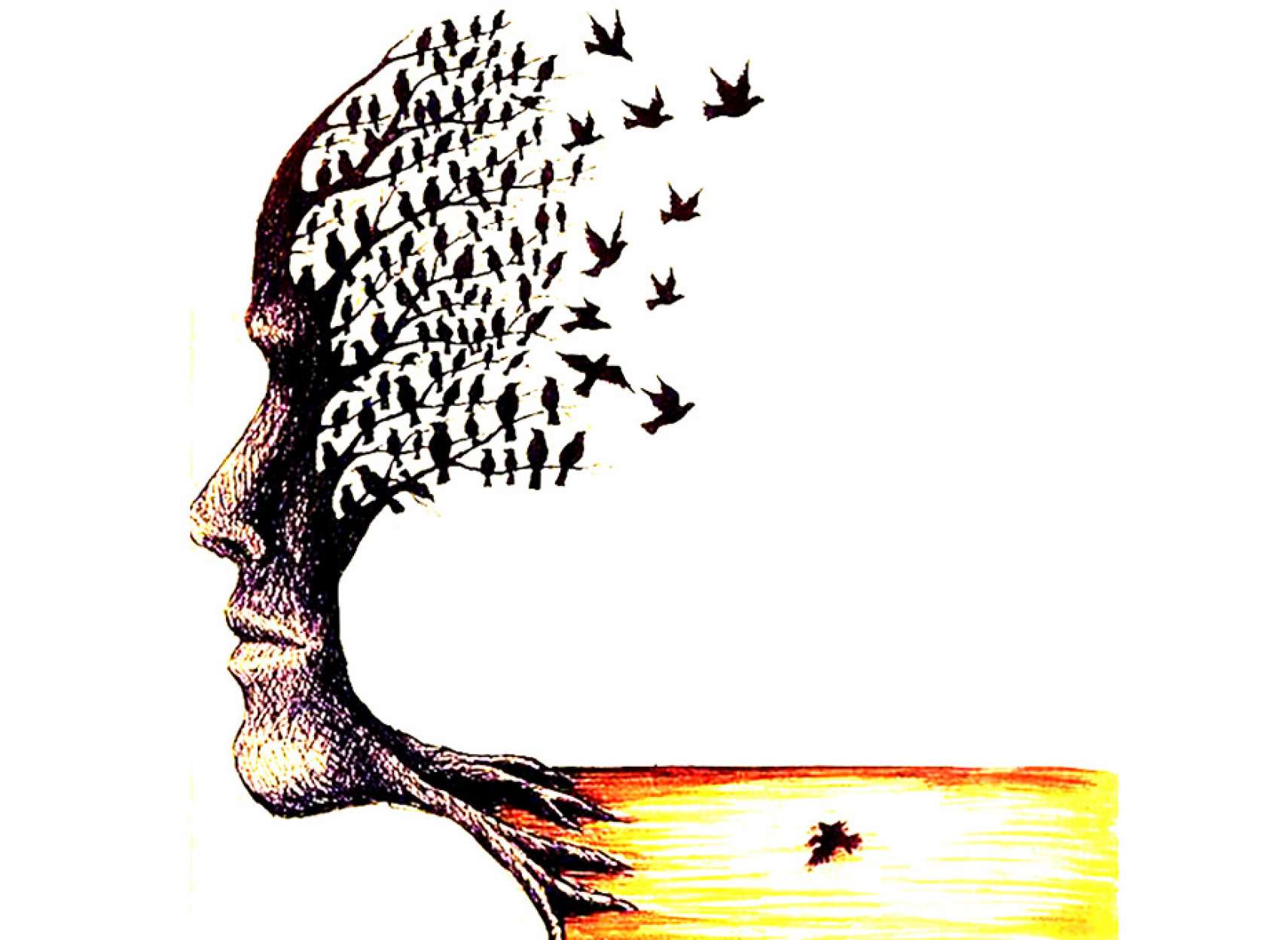 جلایی‌فر-داستان-الکساندر-آزادی