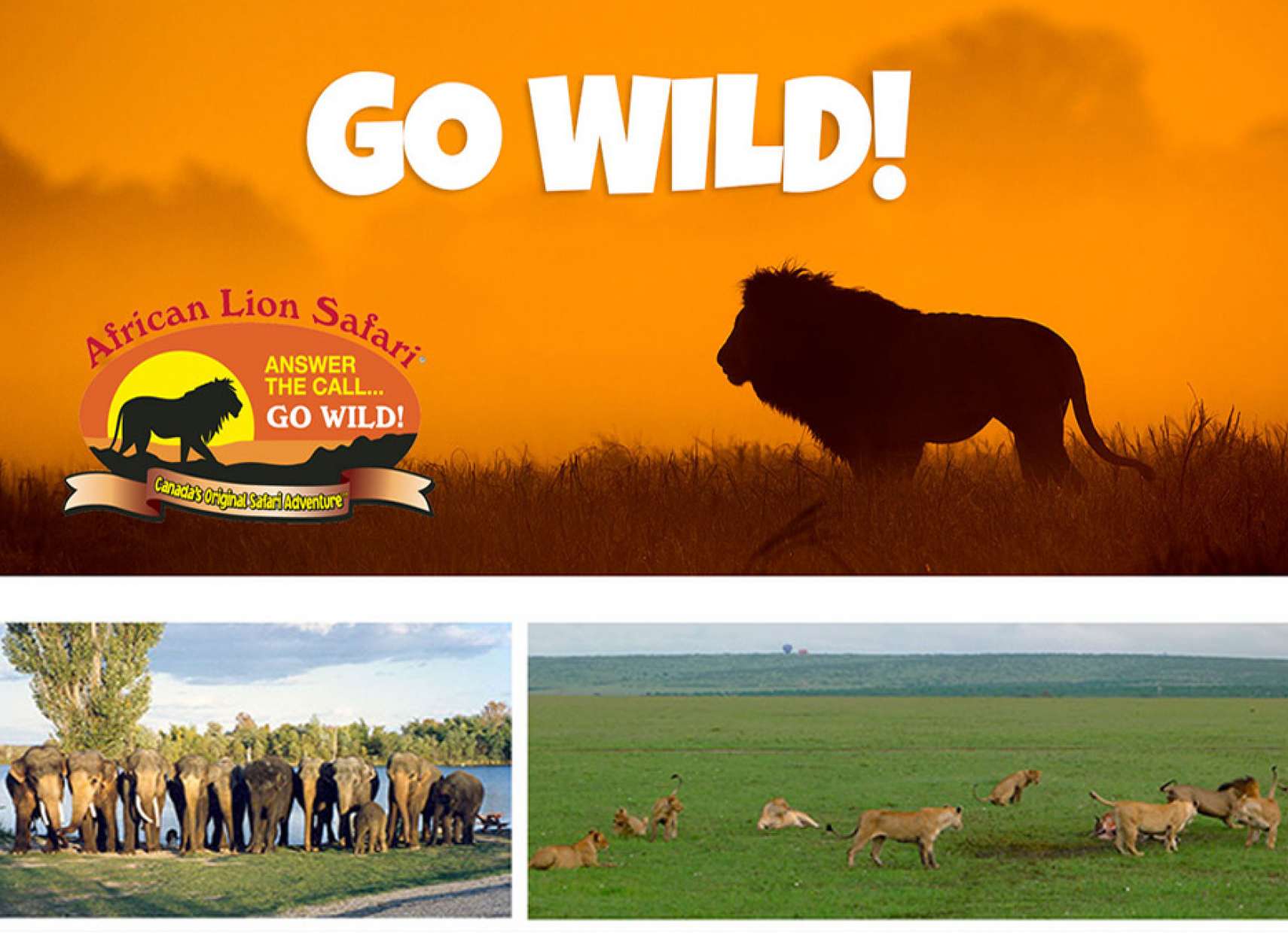 حمله-یک-فیل-به-فردی-در-باغ-وحش-تورنتو-اخبار