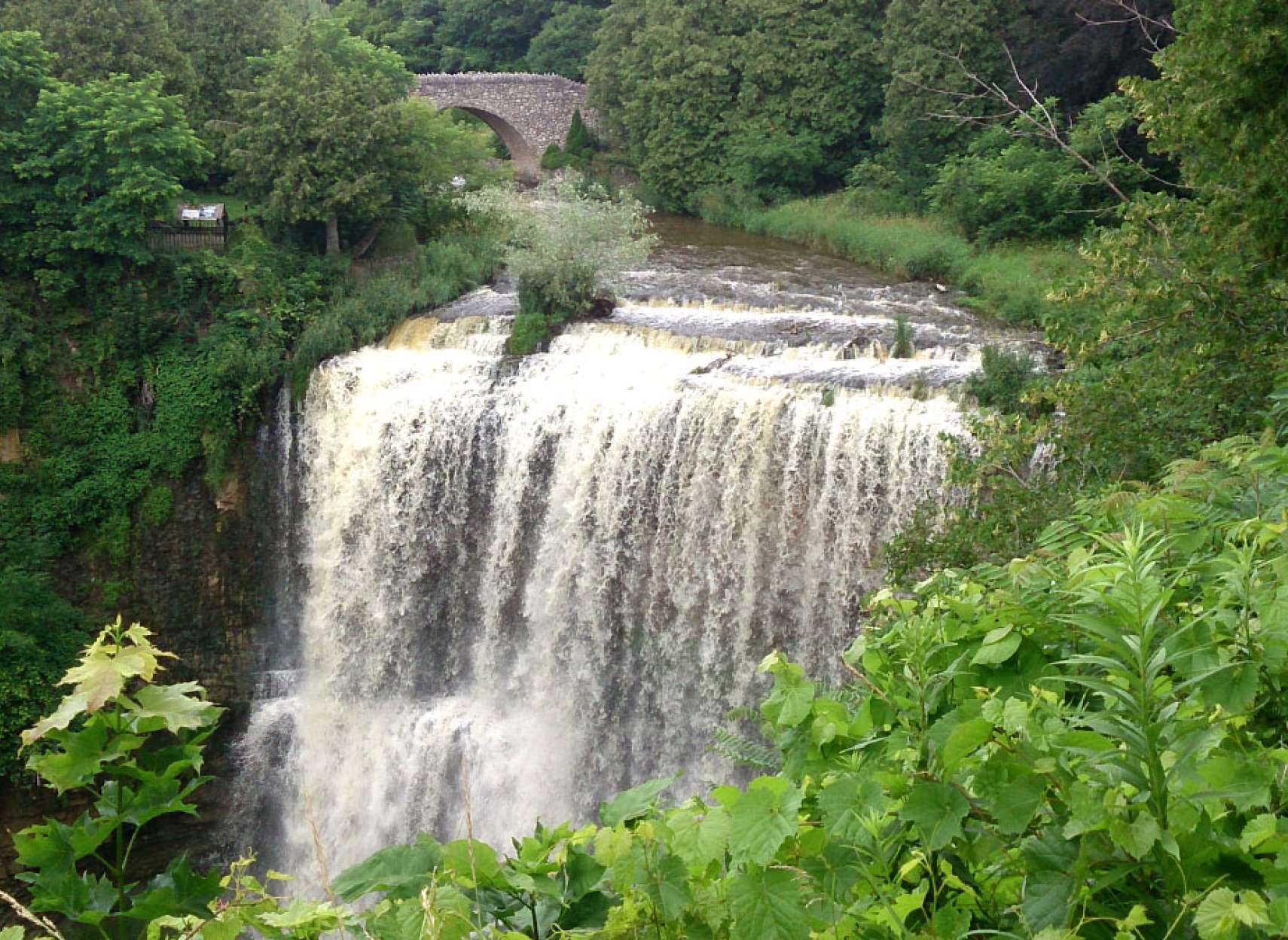 خانواده-تورنتو-گردش-آبشار-وبستر-همیلتون-بلیت-بازدید-آنلاین-هر-دو-جایگاه-آبشار
