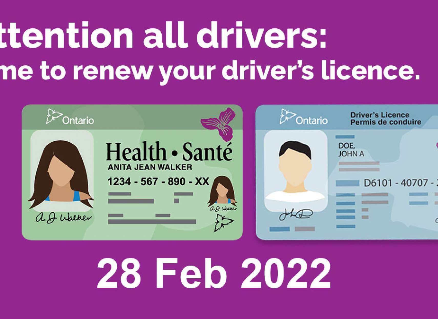 خبر-تورنتو-انتاریو-این-ماه-برچسب-پلاک-کارت-رانندگی-سلامت-را-تمدید-کنید-برچسب-پلاک-حذف