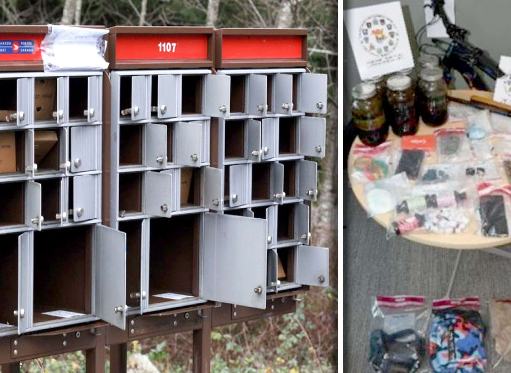 خبر-تورنتو-سرانجام-سه-دزد-نامه-تورنتو-شهر-اطراف-جنوب-انتاریو-دستگیر