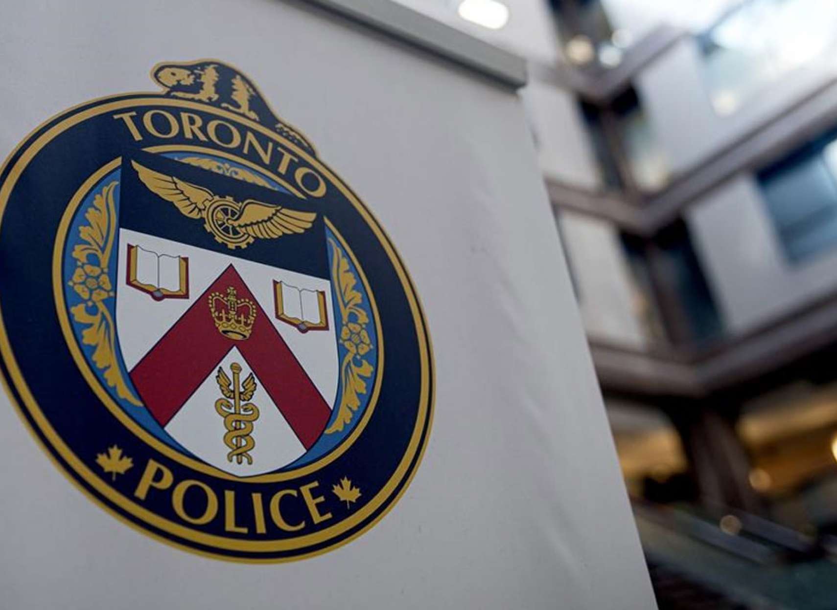 خبر-تورنتو-سه-خلافکاری-پلیس-یک-هفته-دزدیدن-مشروب-متهم-رشوه-موادفروش-تصادف-مستی