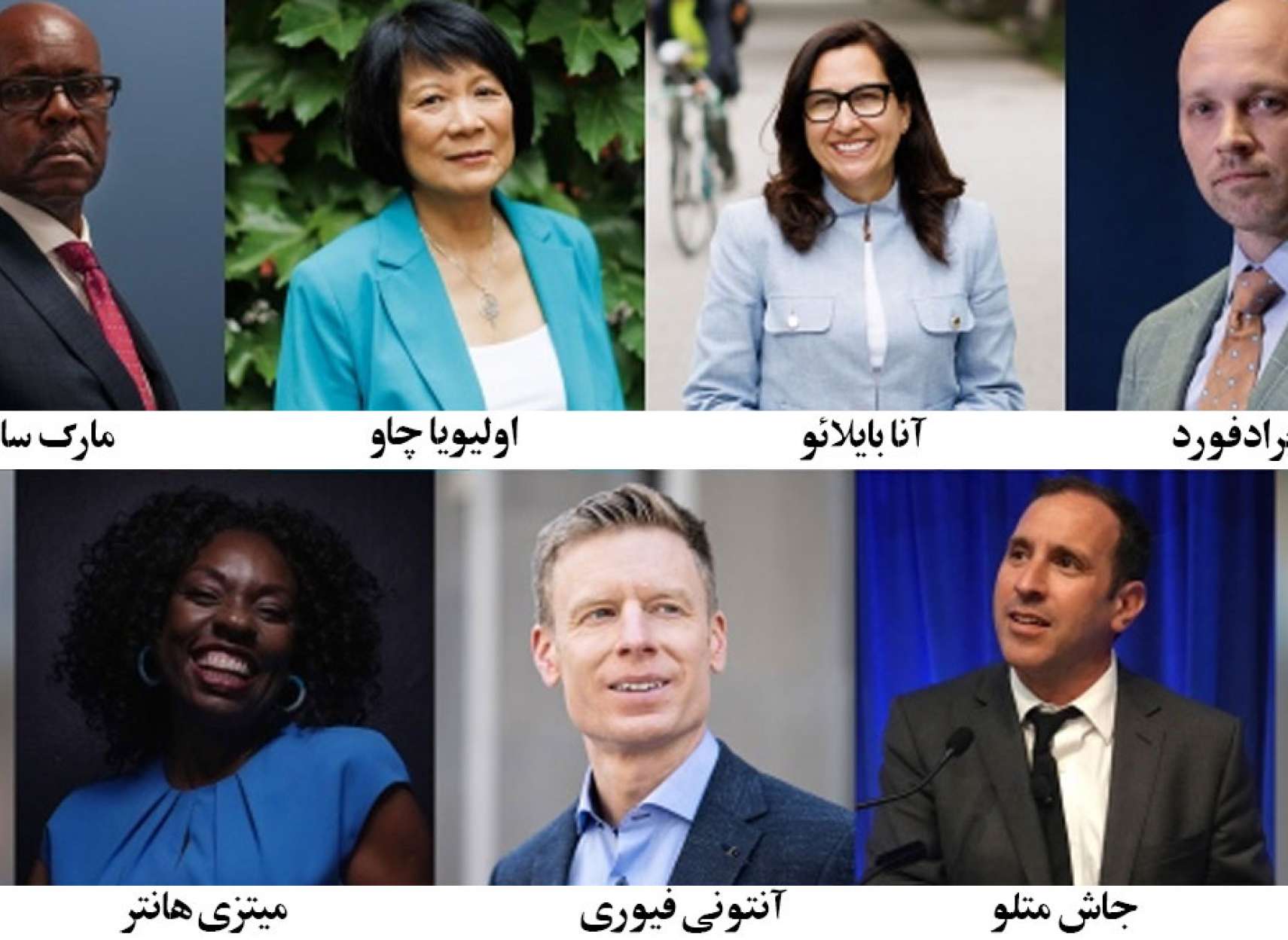 خبر-تورنتو-فردا-دوشنبه-انتخابات-بزرگترین-شهر-کانادا-۱۰۲-نامزد-۱۸-ساله-سگ-نامزد