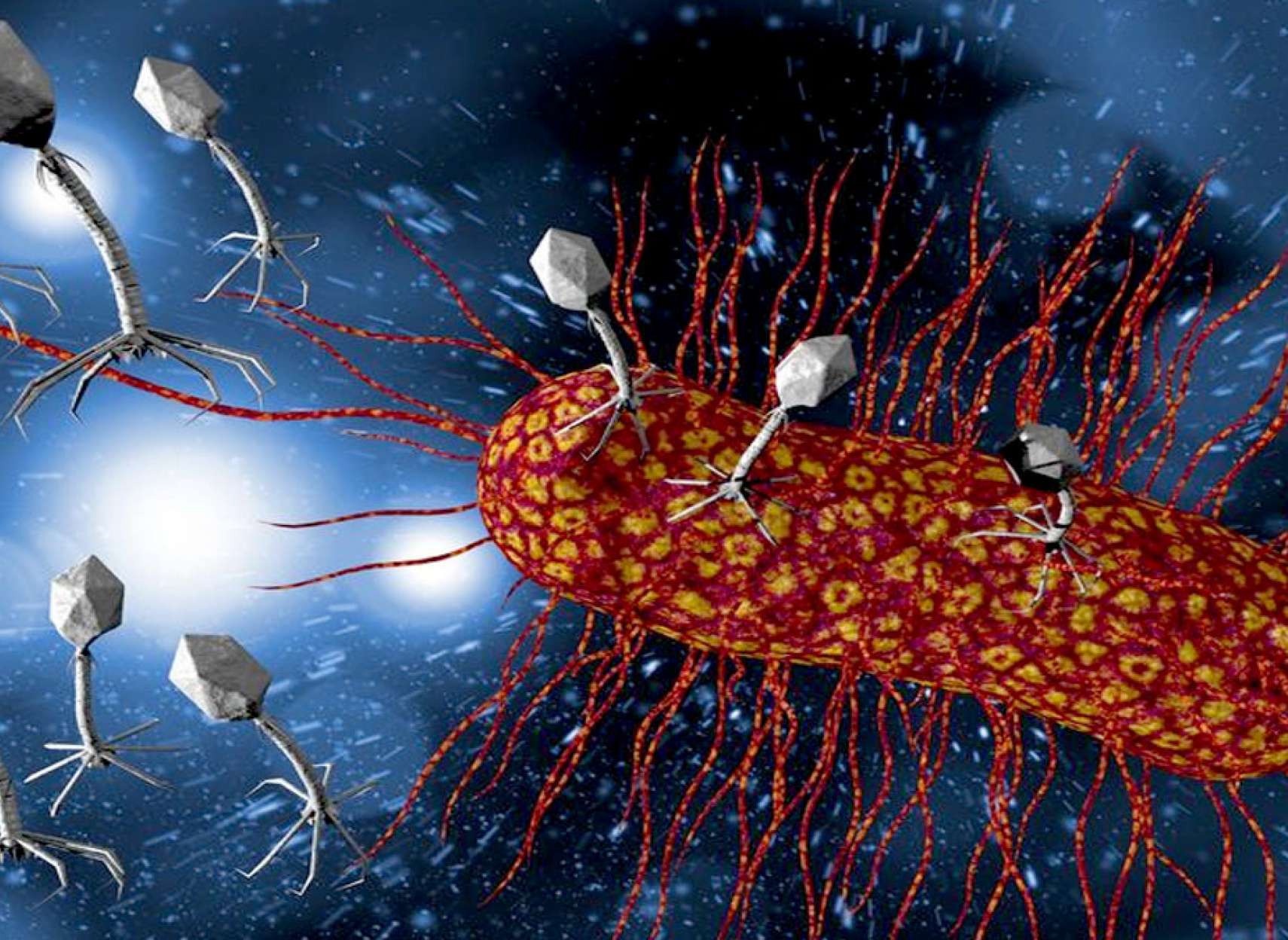 خبر-علمی-دانشمندان-موجود-کشف-ویروس-خوردن-دنیا-دگرگون