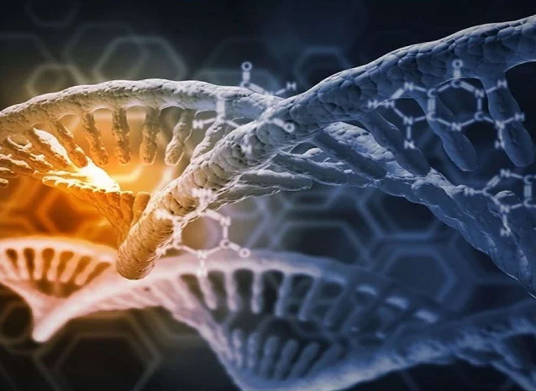 خبر-علمی-دانشمندان-ژن-اضطراب-در-مغز-کشف-راه-طبیعی-خاموش-کردن