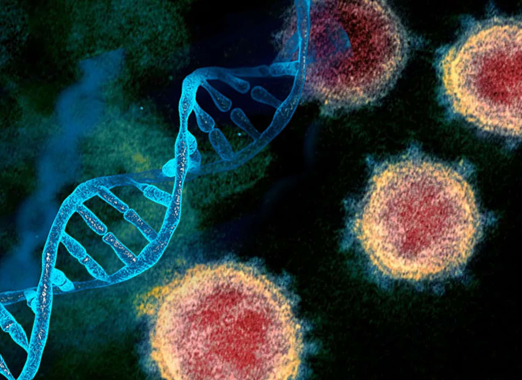 خبر-علمی-دانشمندان-ژن-هایی-که-باعث-بیماری-شدید-کرونا-می-شود-را-کشف-کردند