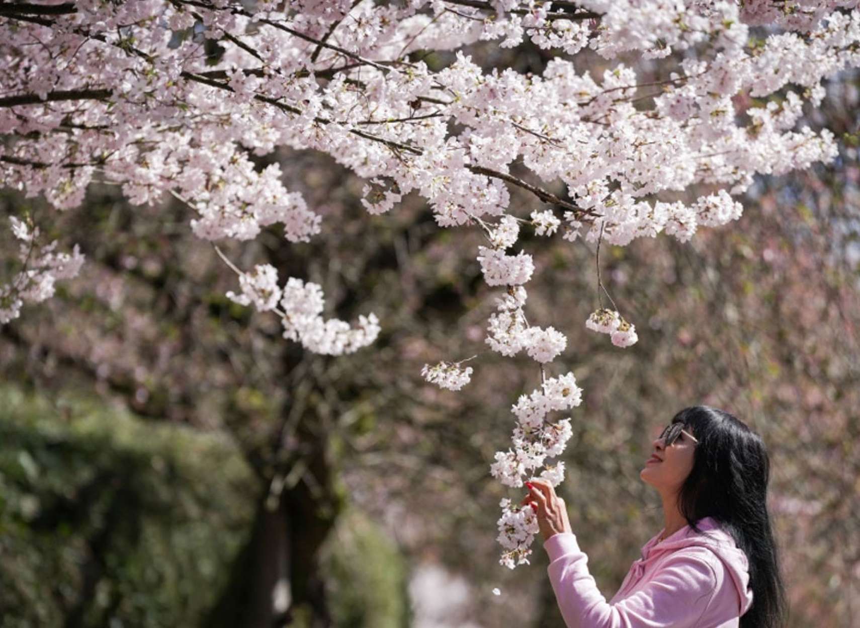 خبر-علمی-سال-آینده-پس-از-۱۳۰-سال-بهار-و-نوروز-یک-روز-زودتر-می-آید-آخر-چرا