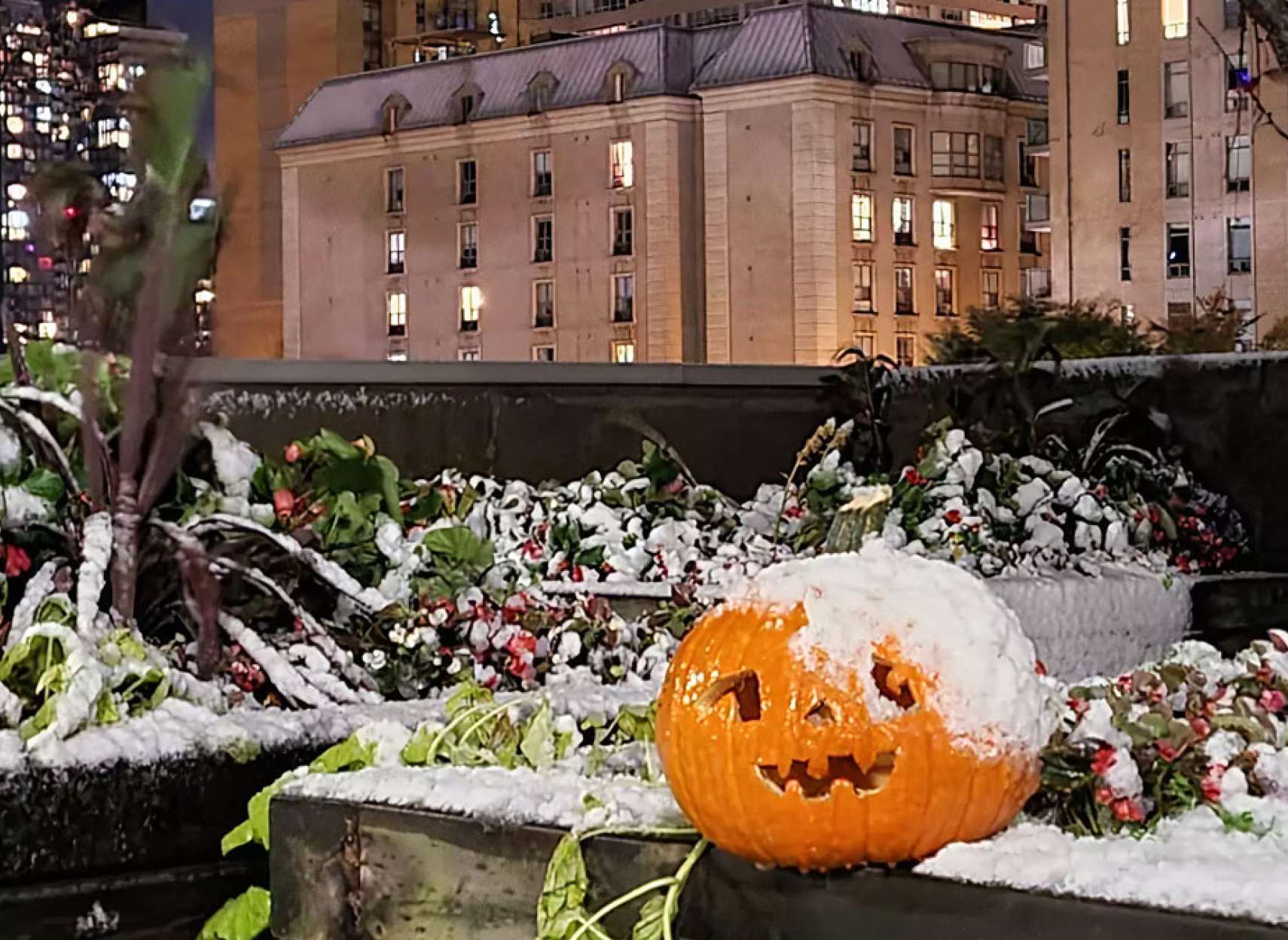 خبر-کانادا-اولین-برف-سنگین-امسال-هوای-تورنتو-مونترال-کبک-ونکوور-چگونه