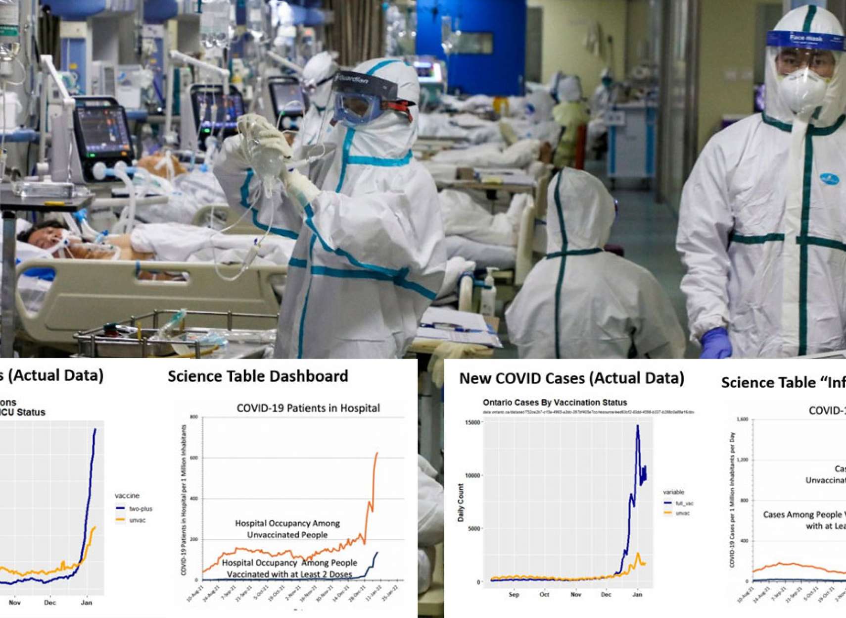 خبر-کانادا-اومیکرون-بی-خطر-کشته-های-انتاریو-رکوردشکنی-بازرس-آمار-دولت-بیمارستان-نیست