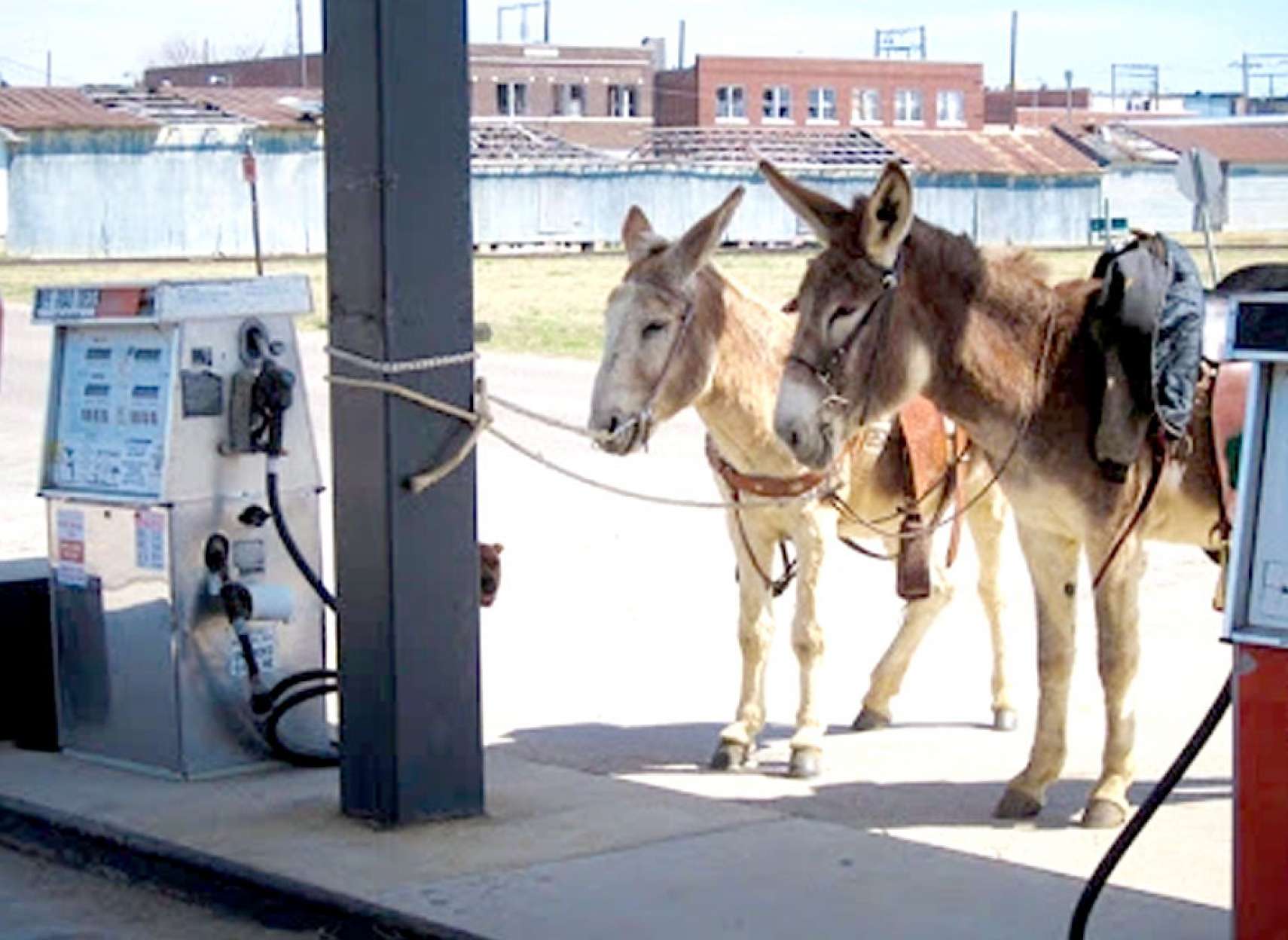 خبر-کانادا-بالا-رفتن-شدید-قیمت-بنزین-امشب-رکوردشکنی-شنبه-اوج