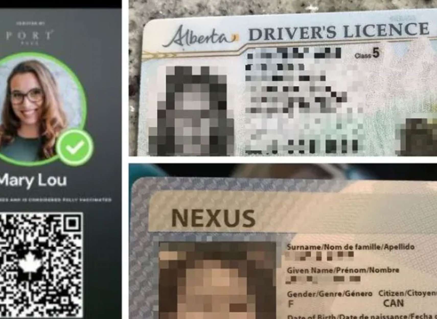Открыть приложение passport. Alberta Driver License. Driver License Canada Alberta.