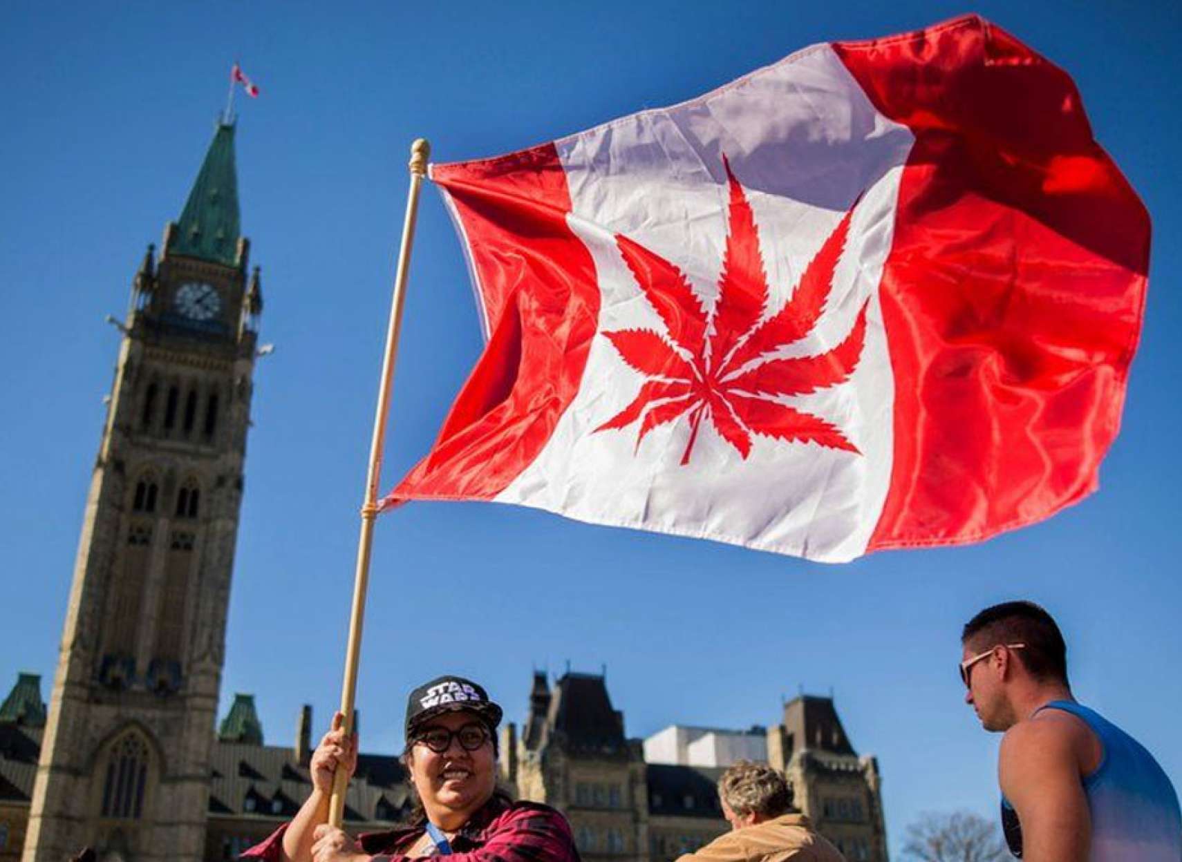 خبر-کانادا-تولید-فروش-ماری-جوآنا-حشیش-ورشکستگی-نابودی-میلیون-ها-دلار-سرمایه-مردم