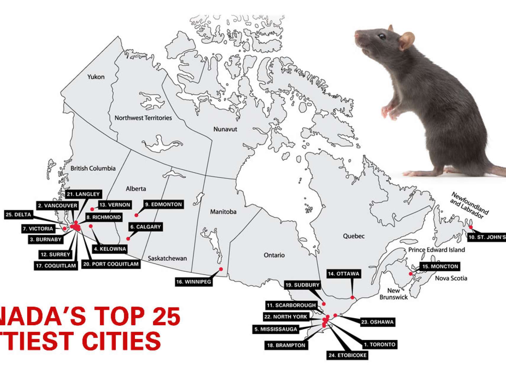 خبر-کانادا-شهر-موش-ها-شما-چندمین-موش-دار-لیست-شهرها-بر-اساس-تعداد-موش-بزرگ-کوچک-منتشر-شد
