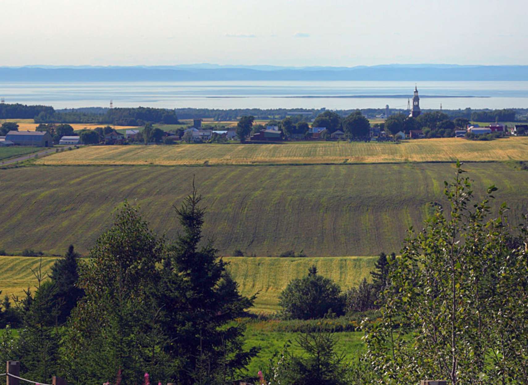 خبر-کانادا-نبود-شهرهای-کوچک-کبکی-که-دربدر-بدنبال-شهردار-می-گردند