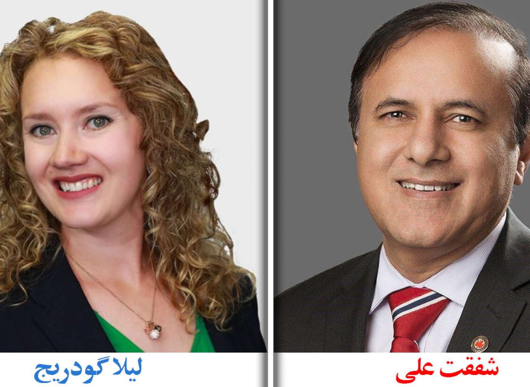 خبر-کانادا-نماینده-لیبرال-مجلس-فدرال-جلسه-رسمی-آنلاین-دوربین-روشن-توالت-دستشویی