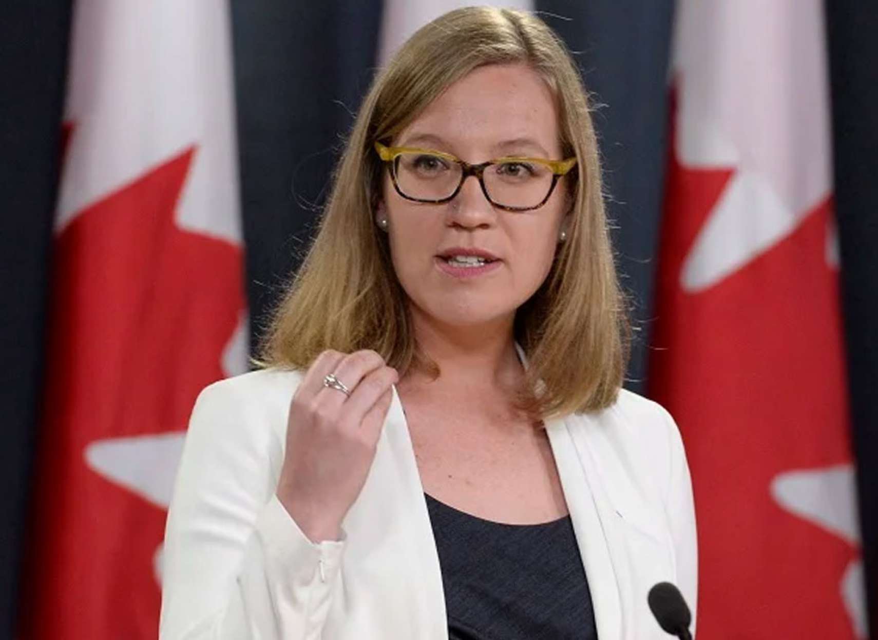 خبر-کانادا-پاسپورت-کانادا-می-خواهید-وزیر-می-گوید-مدارک-خود-را-نفرستید