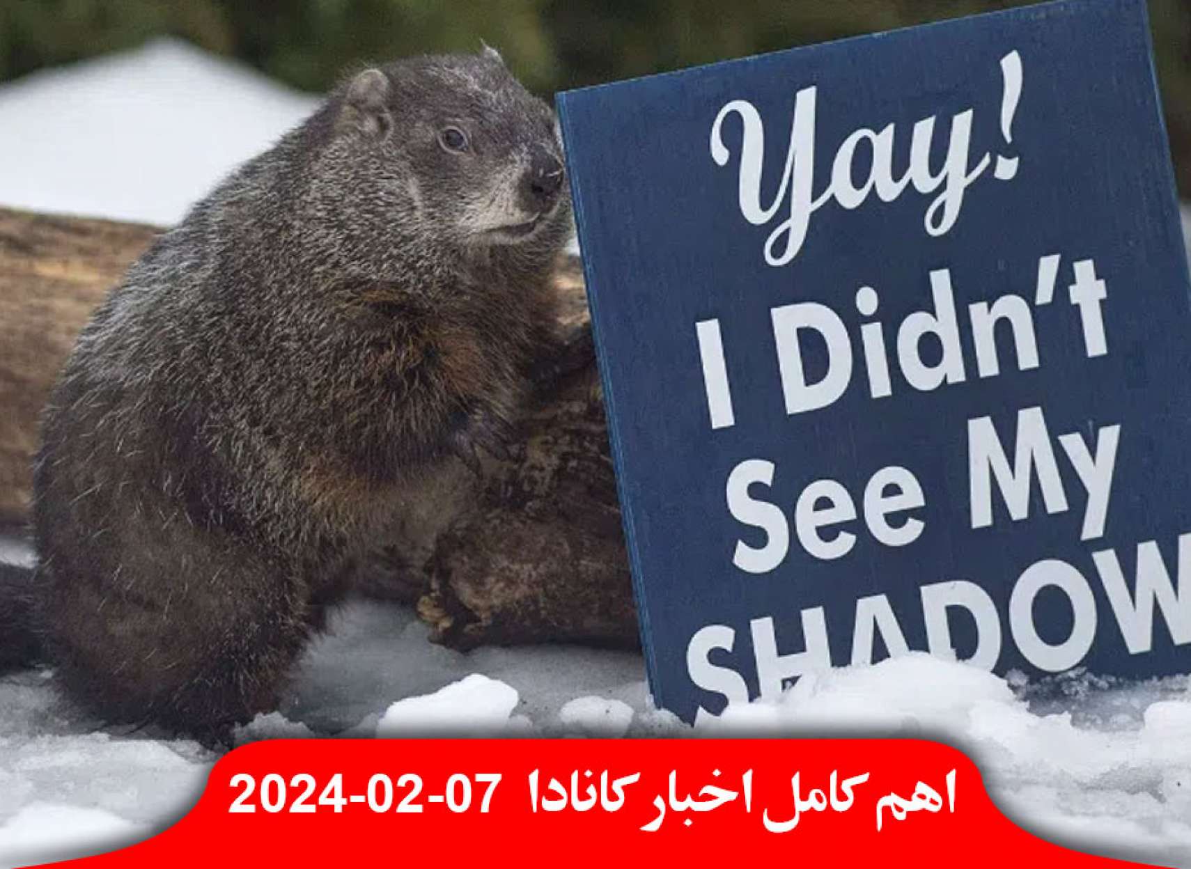 سگ-آبی-بهار-امسال-زودتر-بودجه-میلیون-دلاری-کانادا-مبارزه-دزدی-خودرو-کاپیتان-میپل-لیف-مالیات-دادگاه