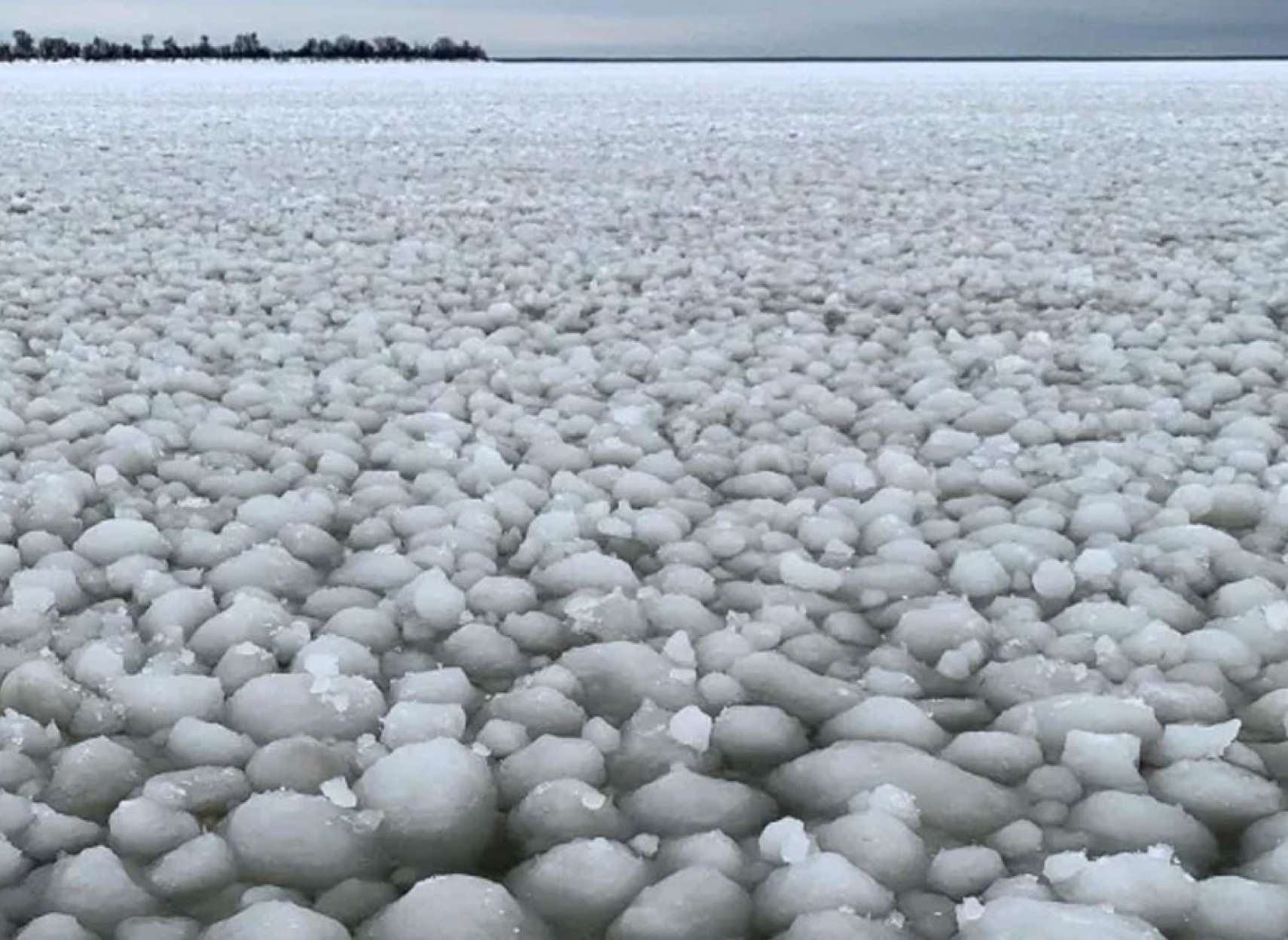 علمی-در-پدیده-ای-نادر-قسمتی-از-دریاچه-مانیتوبا-پُر-از-توپ-های-برفی-یخی-شد