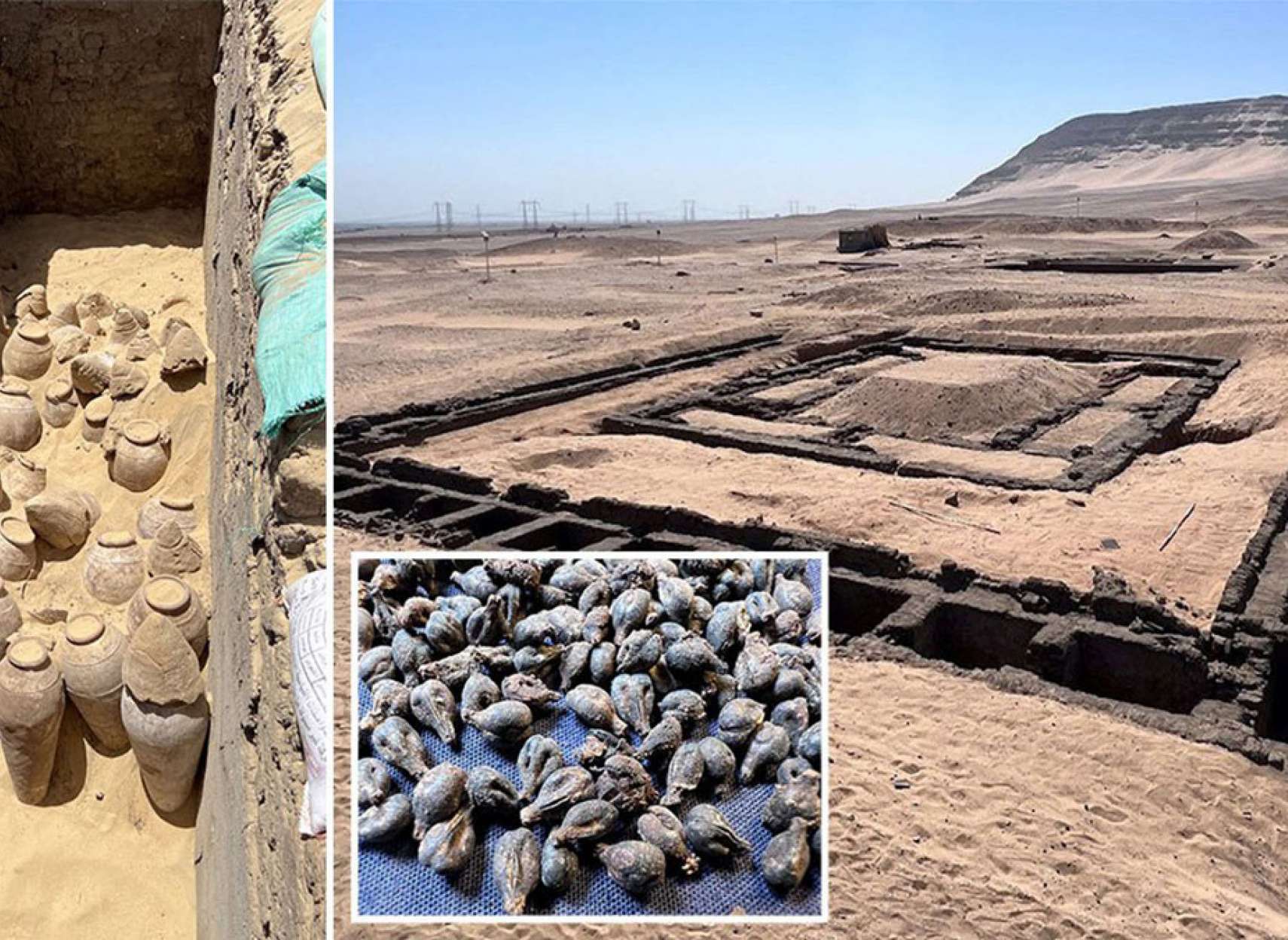 مصر-کاوش-مقبره-ملکه-کوزه-شراب-مهر-و-موم-شده-۵۰۰۰-ساله-دانه-انگور
