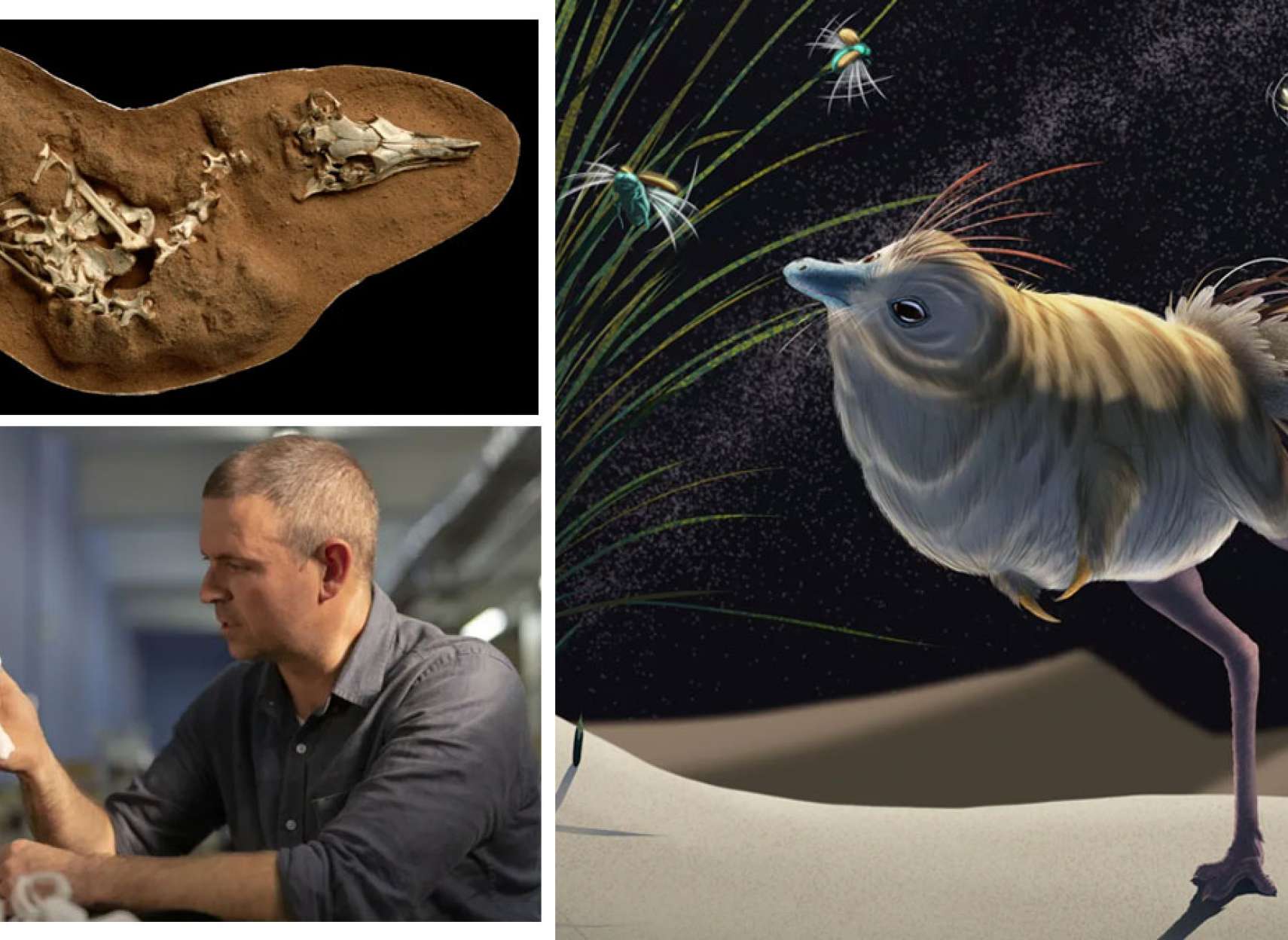 مطلب-علمی-کشف-دایناسور-بسیار-عجیبی-که-در-تاریکی-مطلق-شکار-می-کرد