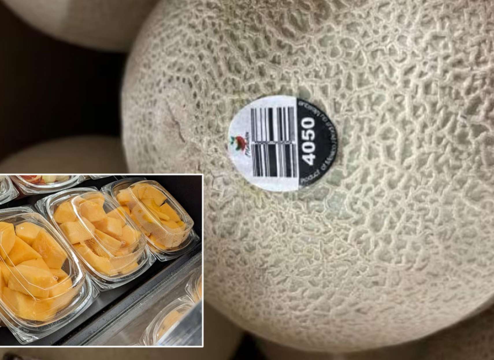 میکروب-سالمونلا-طالبی-کانادا-۵-آمریکا-۳-کشته-۳۵۹-بستری-مارک-نخرید-نخورید