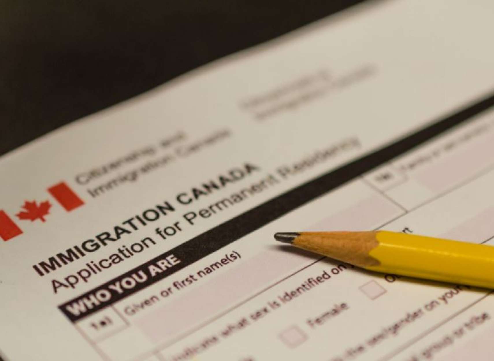 بازداشت-یک-باند-بزرگ-ایرانی-کلاهبرداری-مهاجرت-به-کانادا-تدبیر-دولت-کانادا-درباره- کلاهبرداران- امور-مهاجرت-چیست 